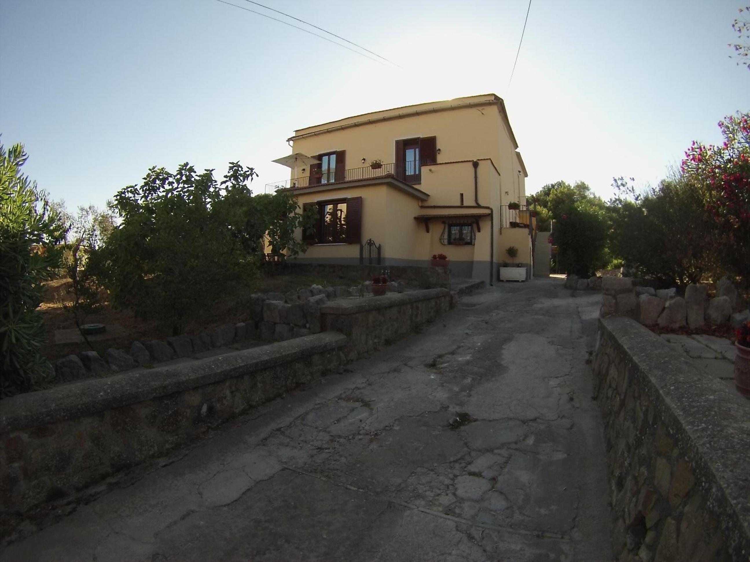Photo 7