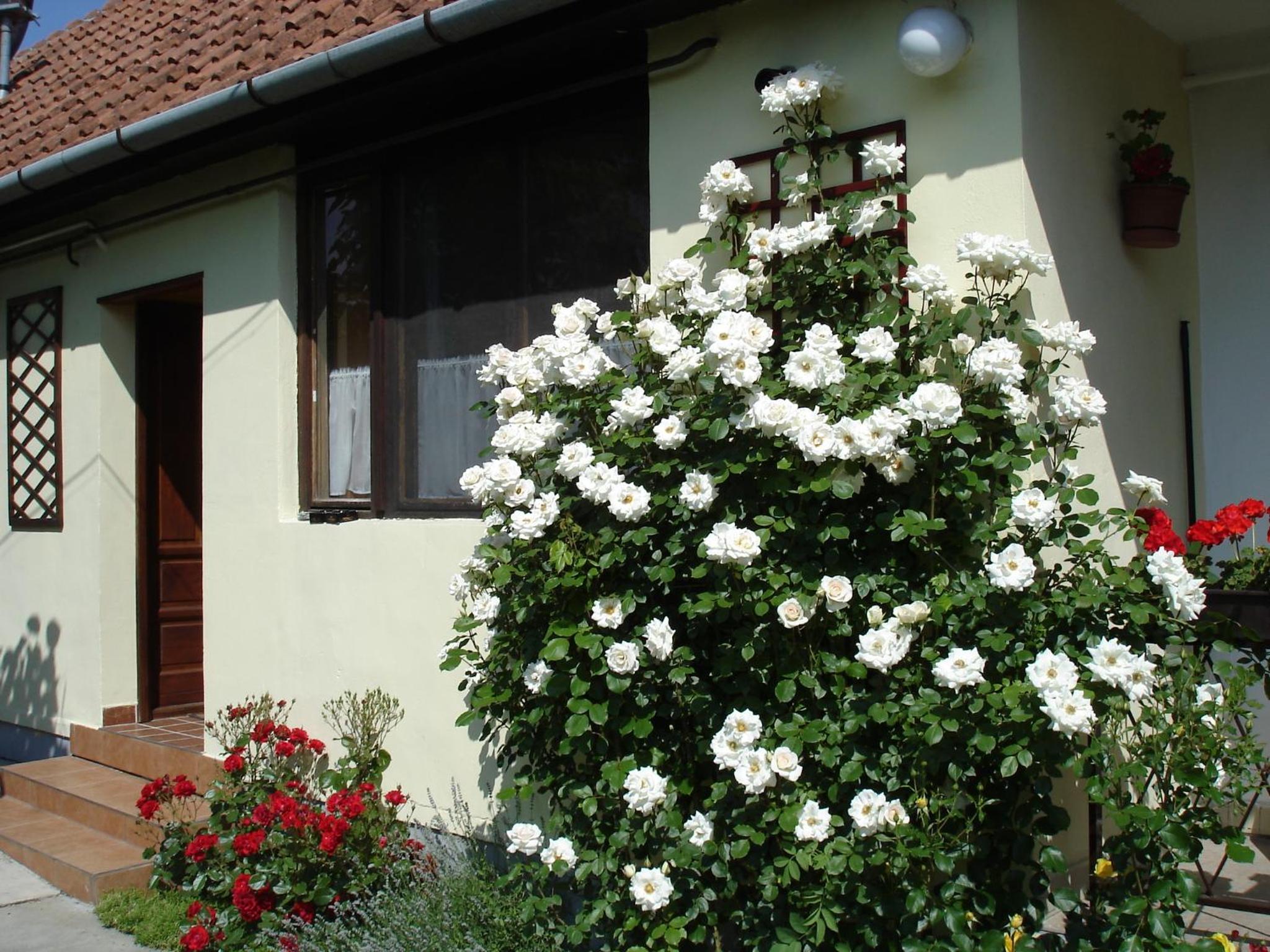 Rózsa Apartman view 2