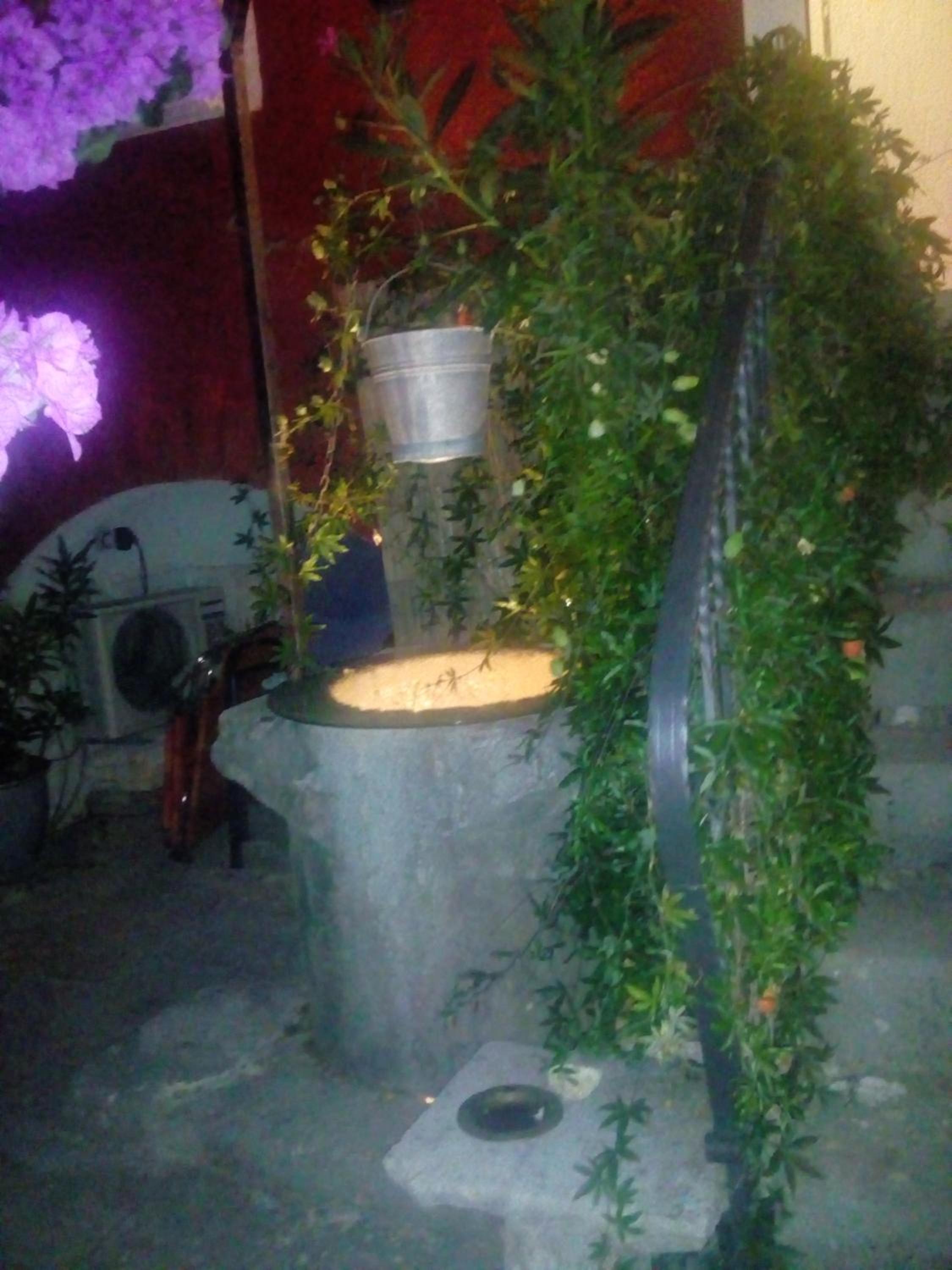 Photo 31