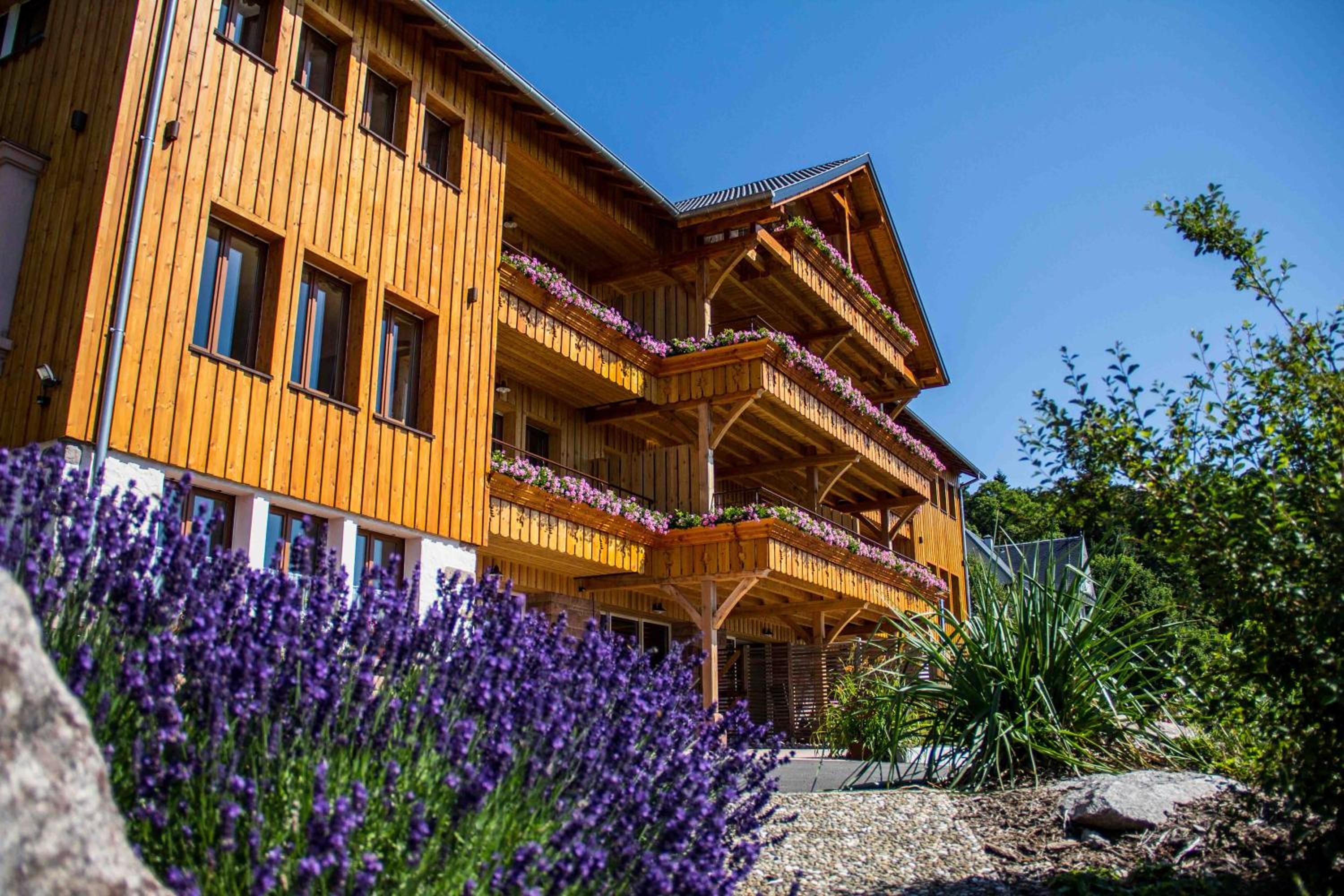 Hotel Les Gîtes d'Adelspach Gîtes & Spa en Alsace - Image 1