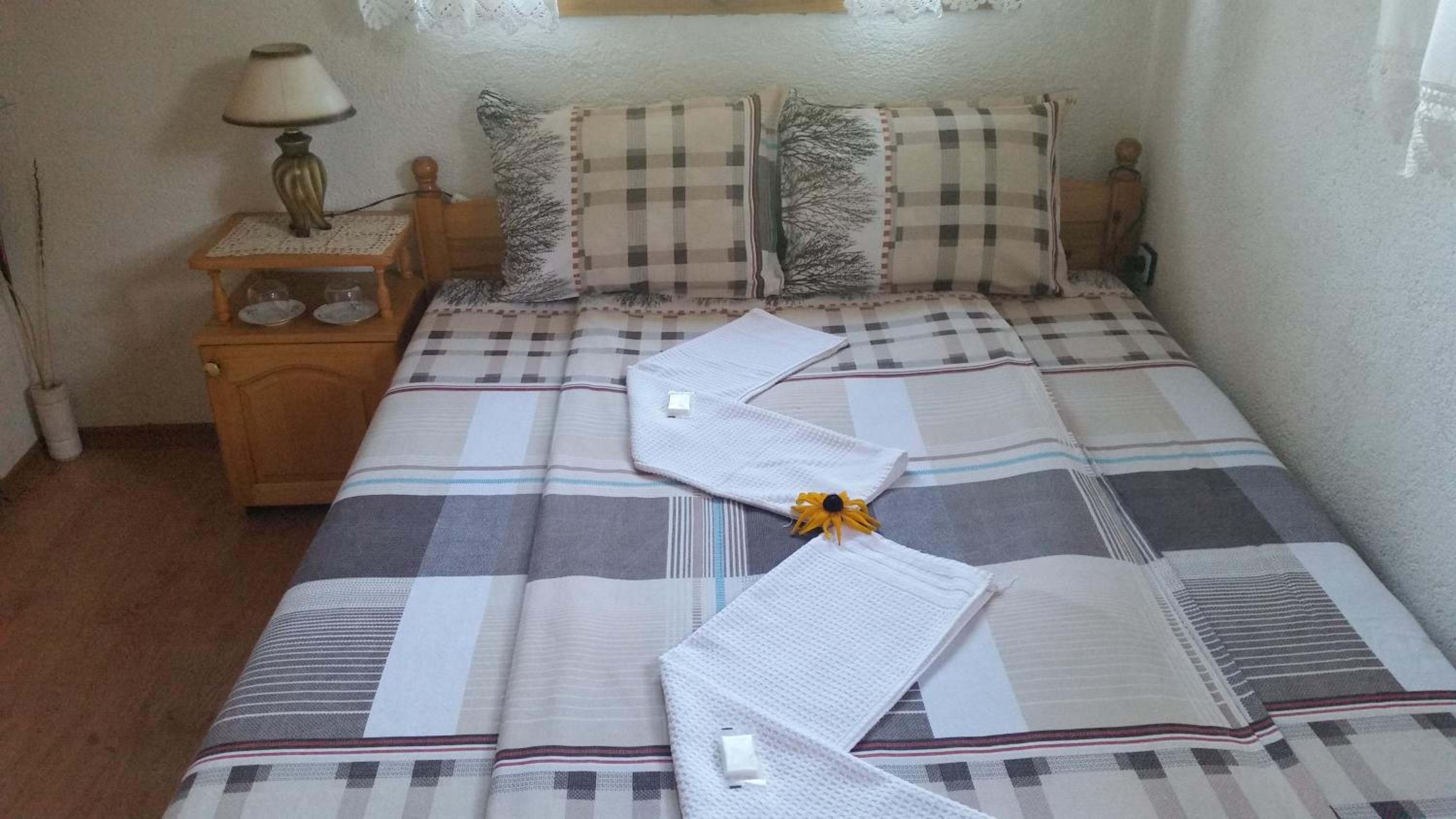 Mechta Guest House