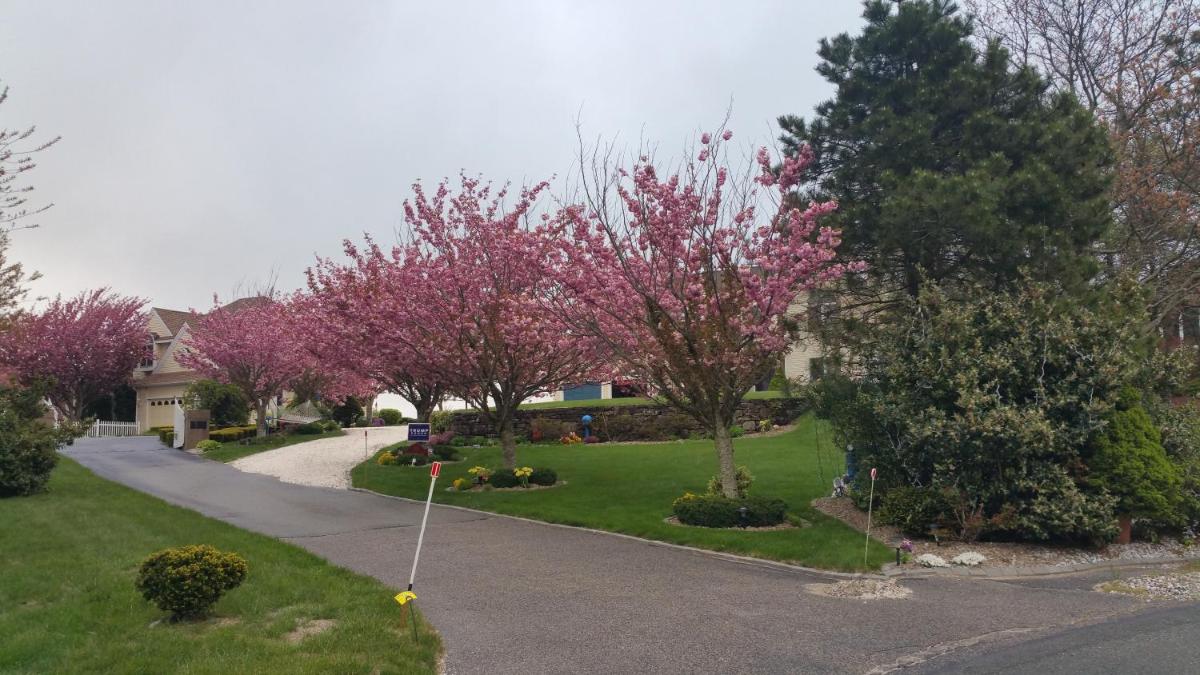 Inn 38 Oak Bluff Circle view 4