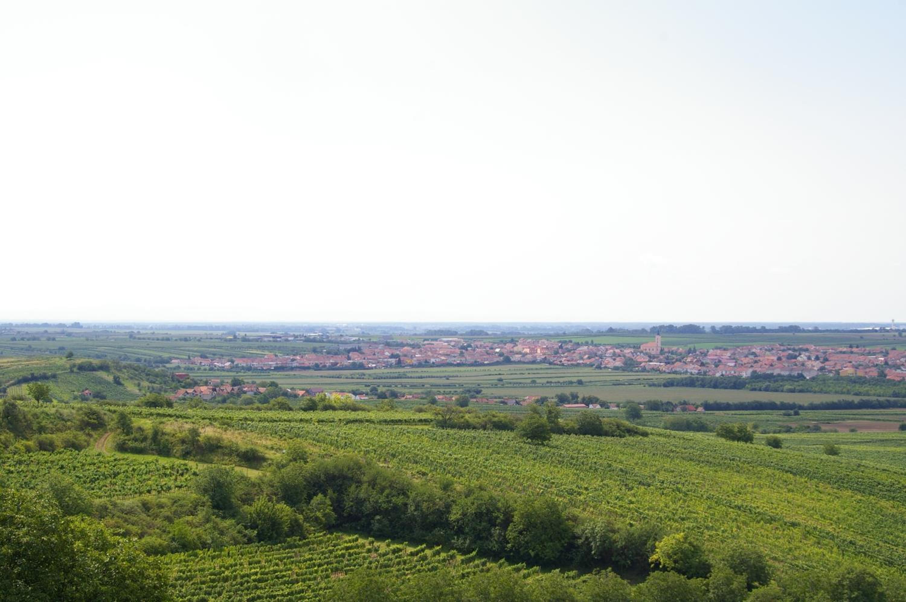 Vinařský penzion Přední Hora