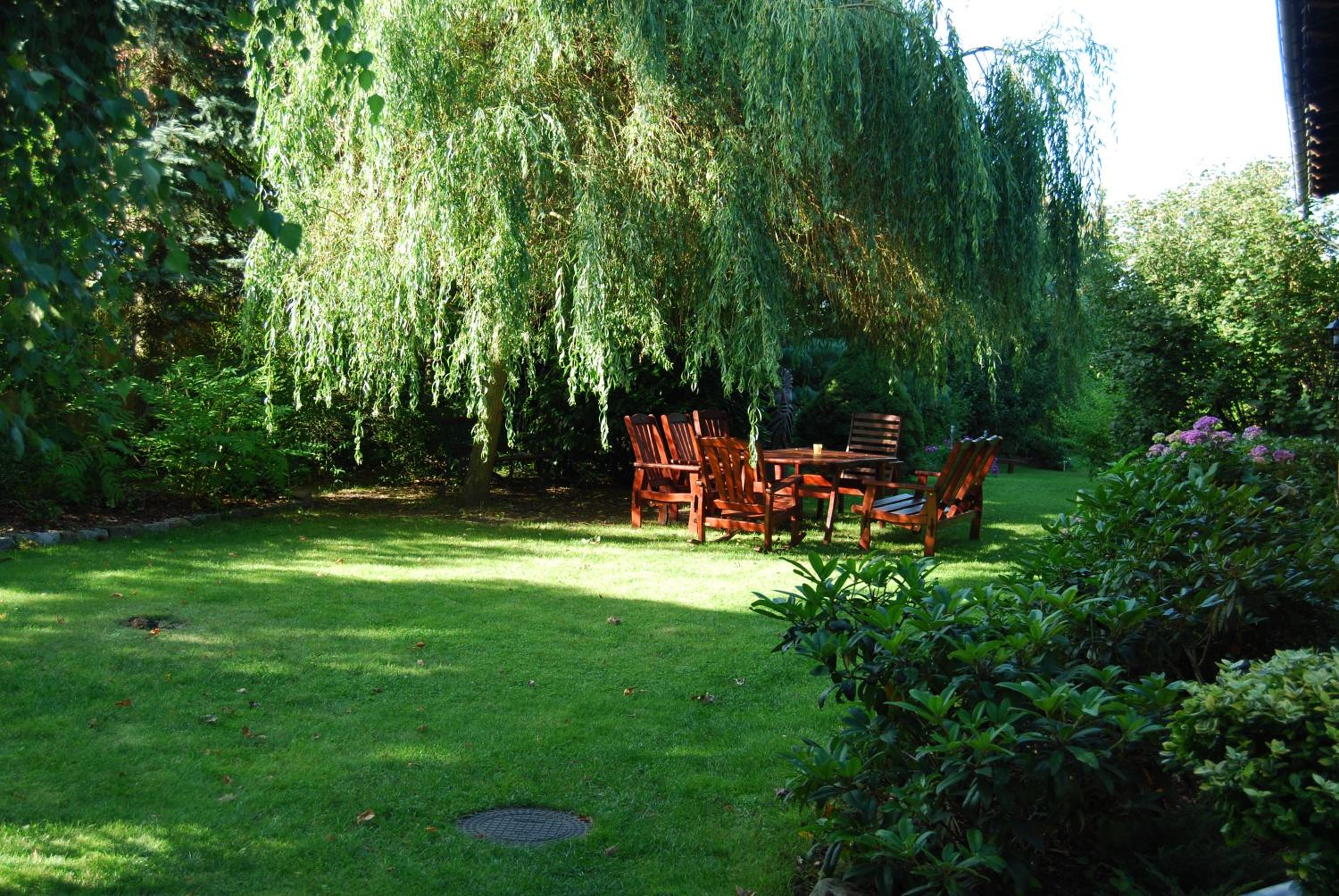 Ferienwohnung Aronia view 2