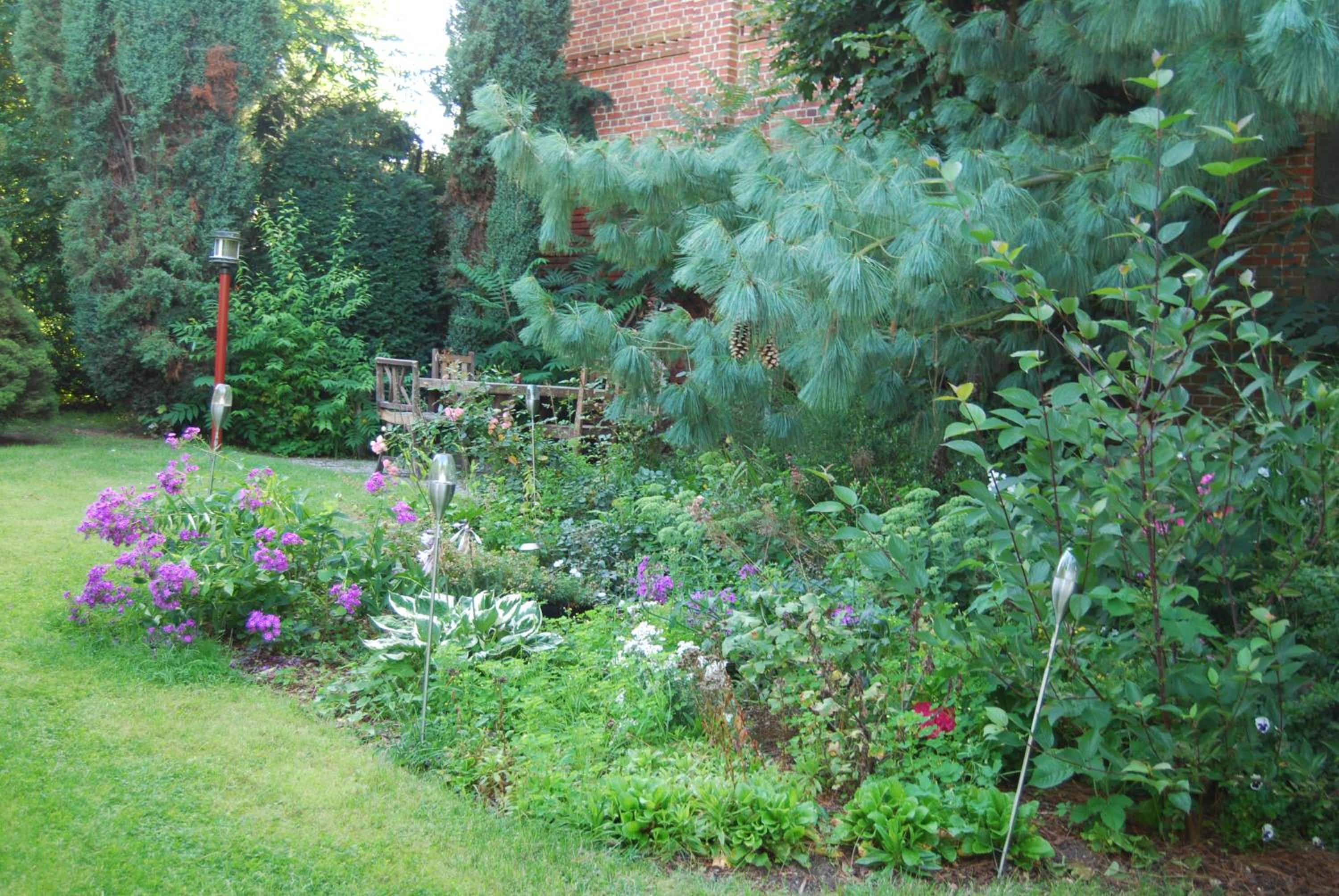 Photo 14