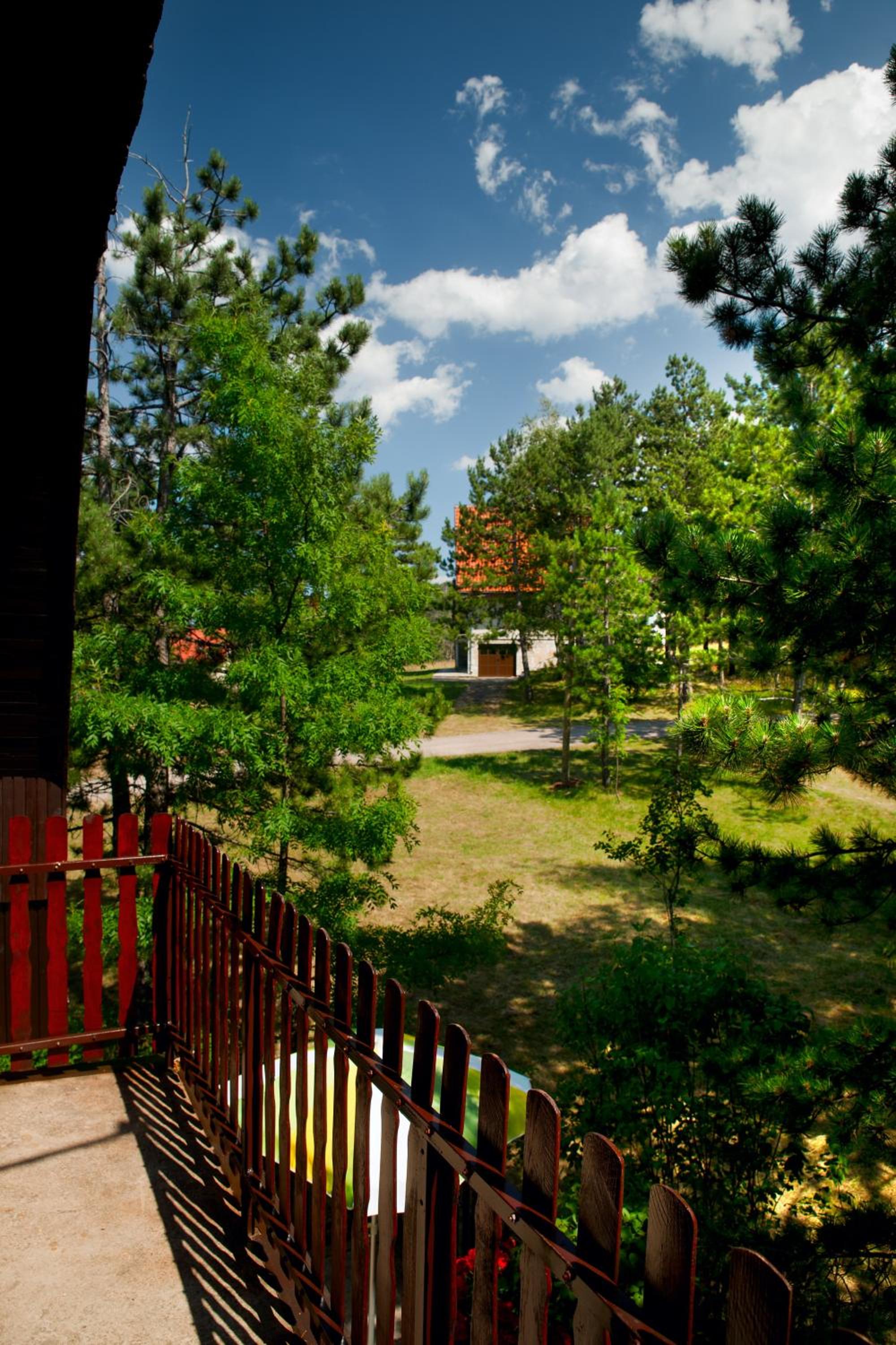 Photo 13