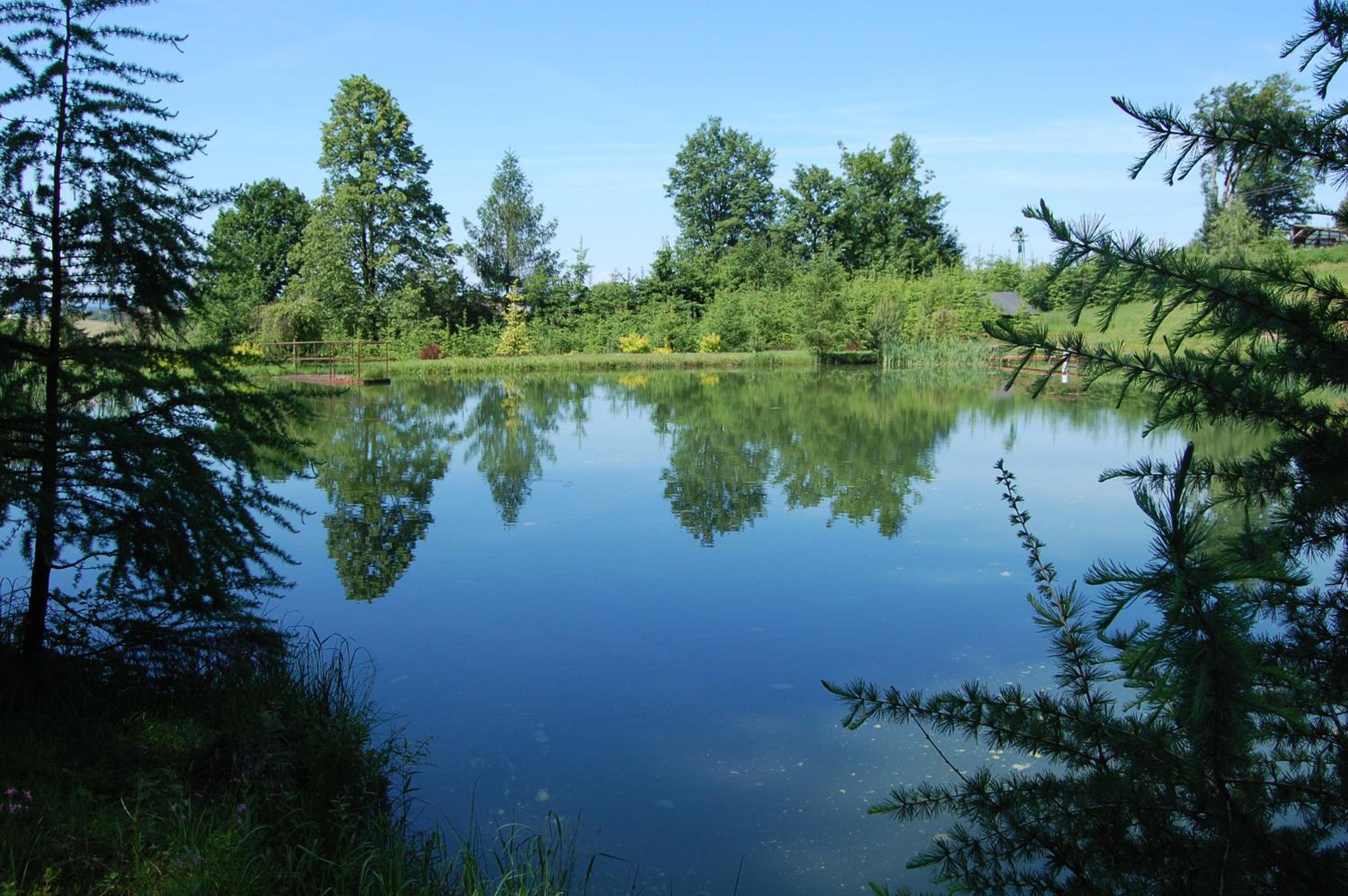 Photo 42