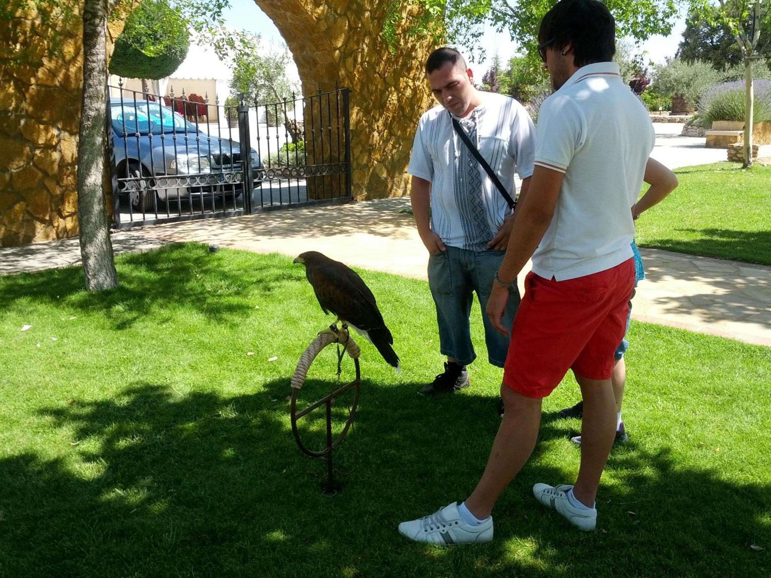 Photo 25
