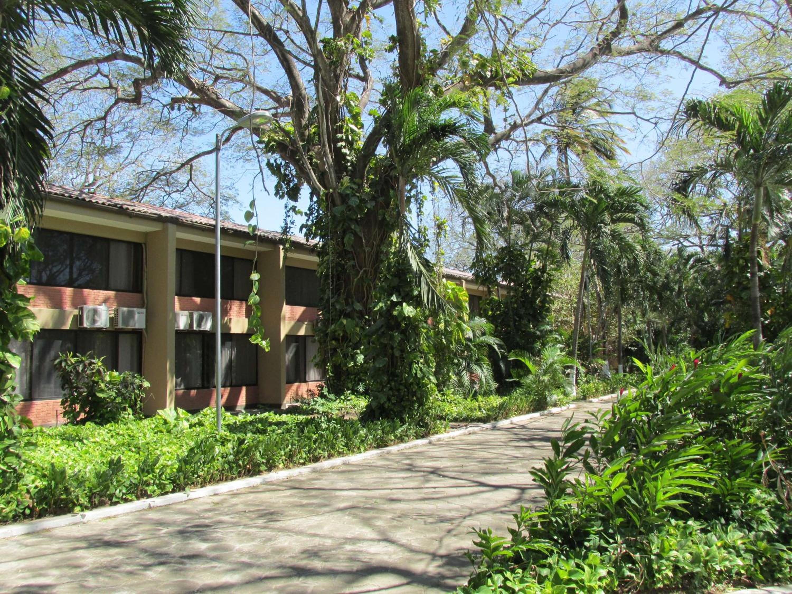 Guanacaste - Costa Rica Vacations - Best Western El Sitio Hotel  Casino - Property Image 3