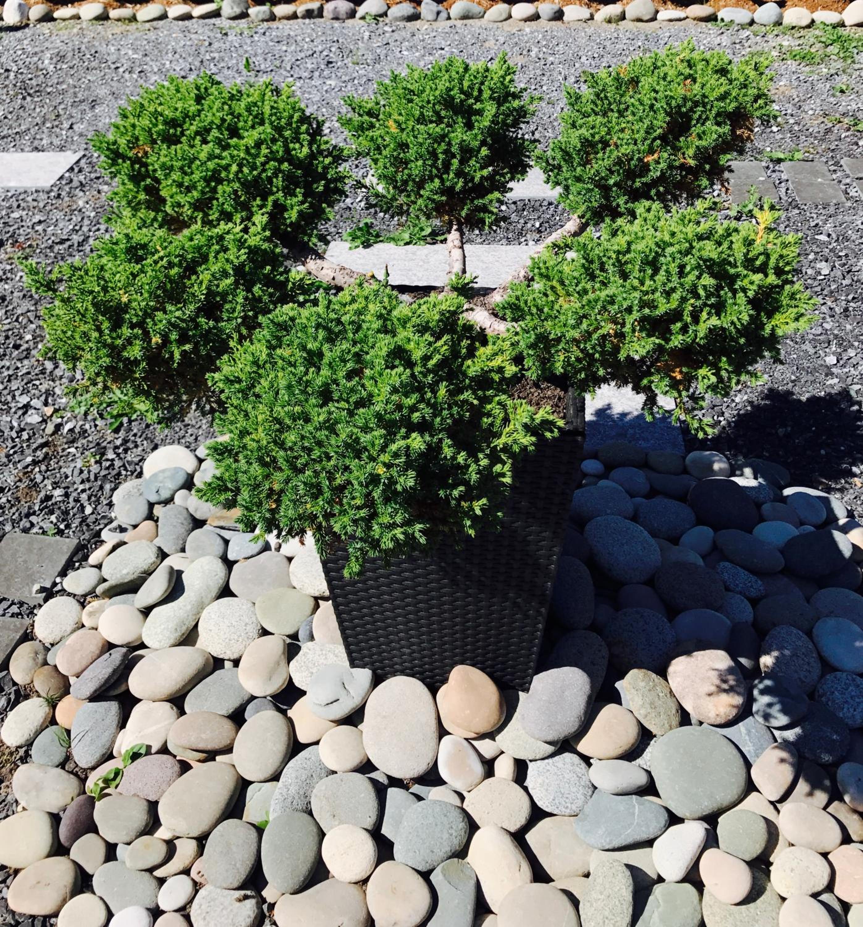 Bay View House