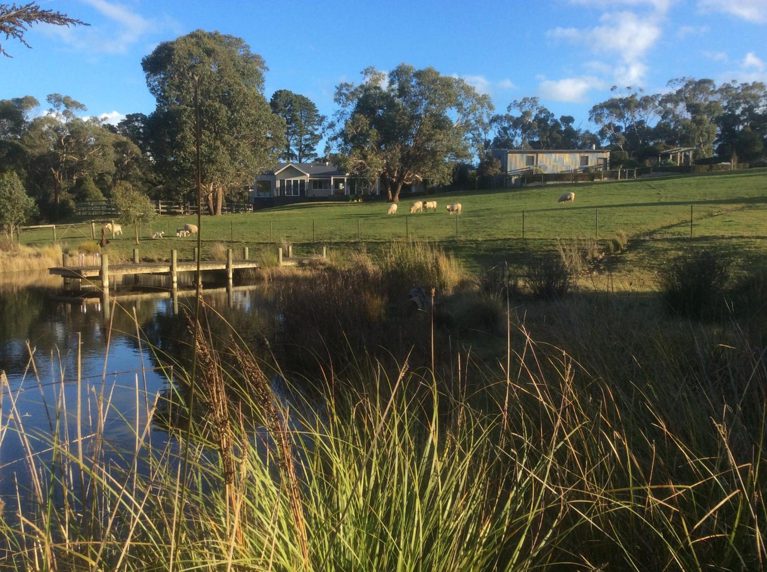 Haven Red Hill