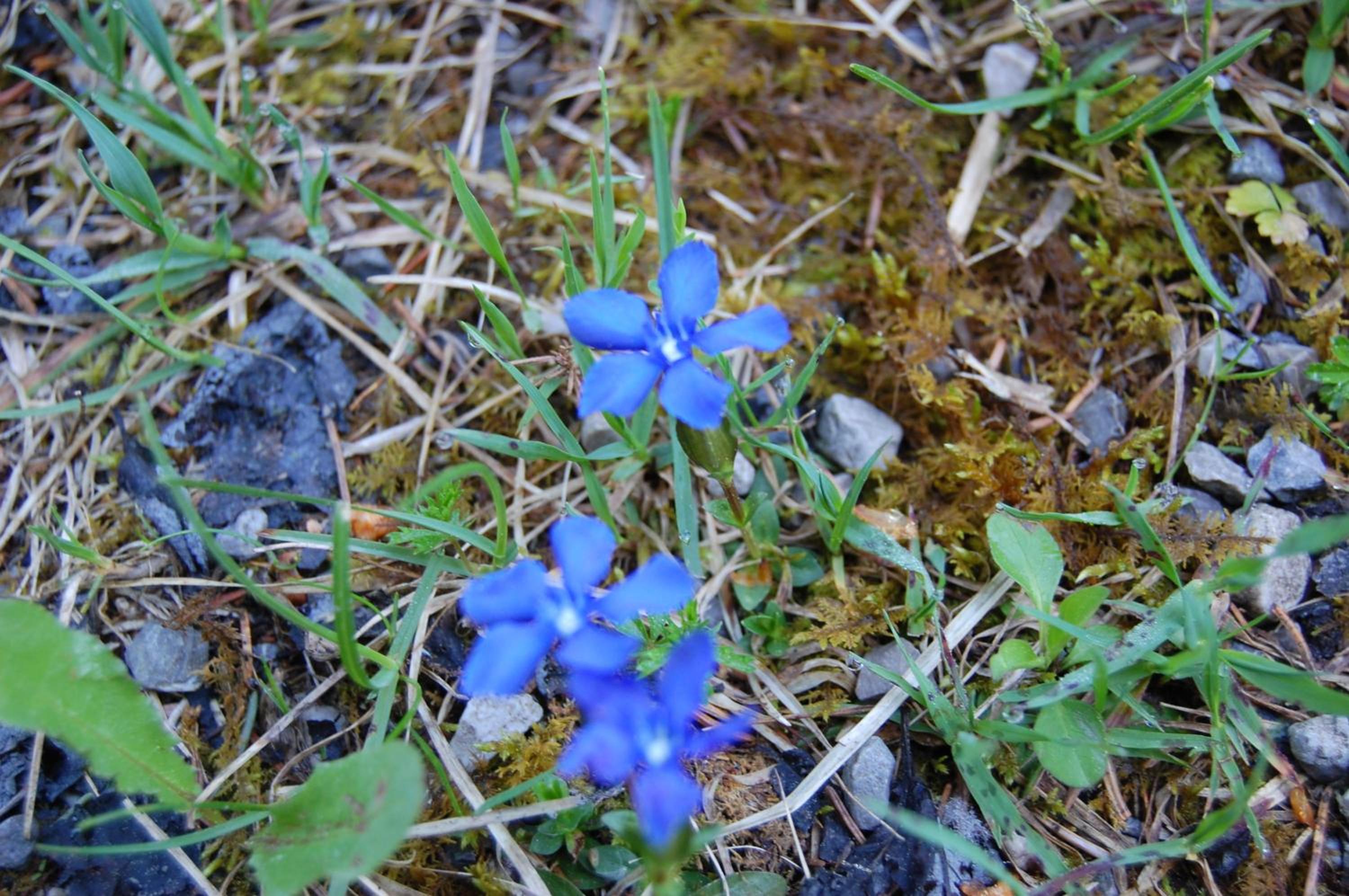 Photo 24