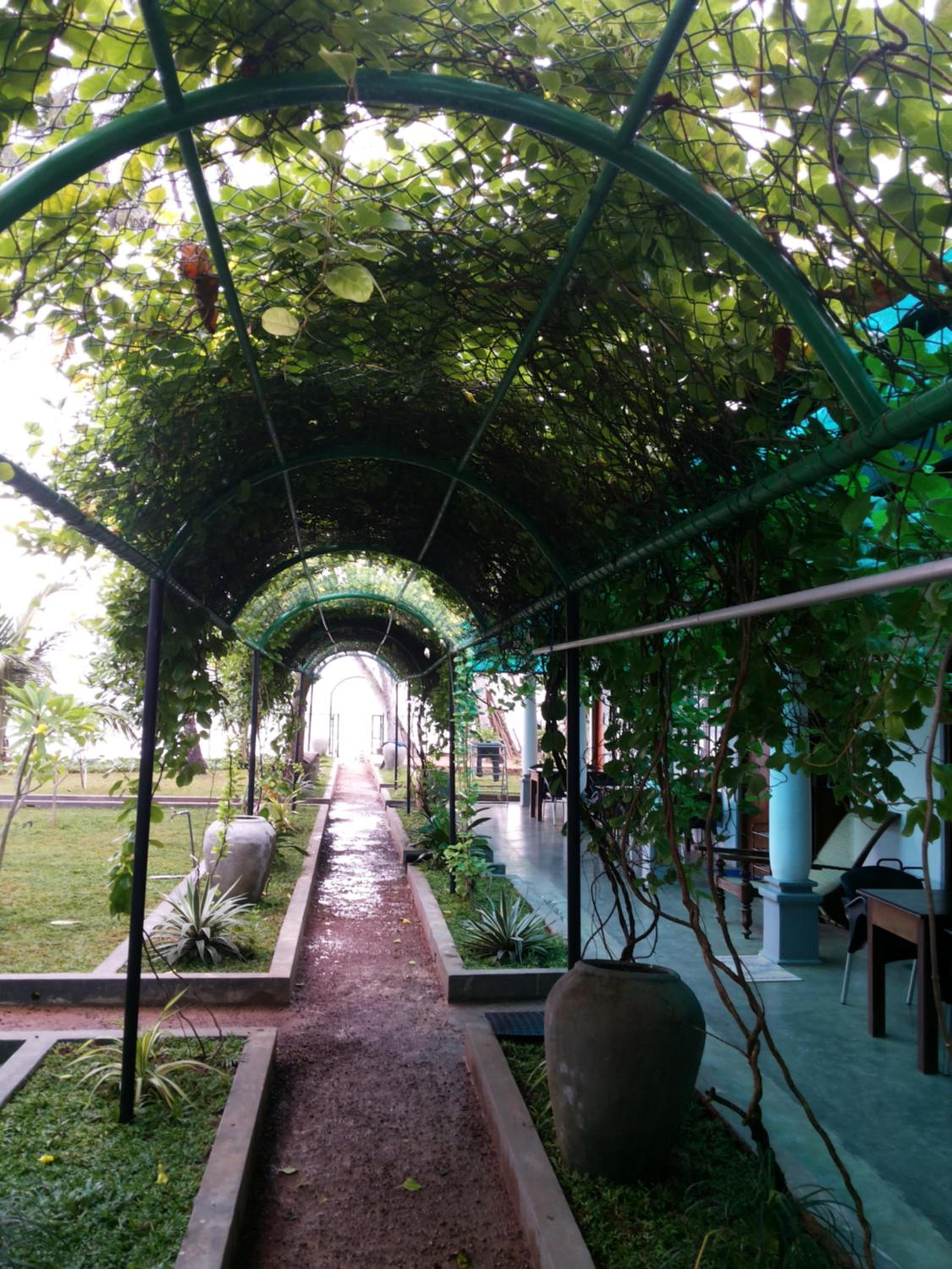 Sira's Chalets view 5