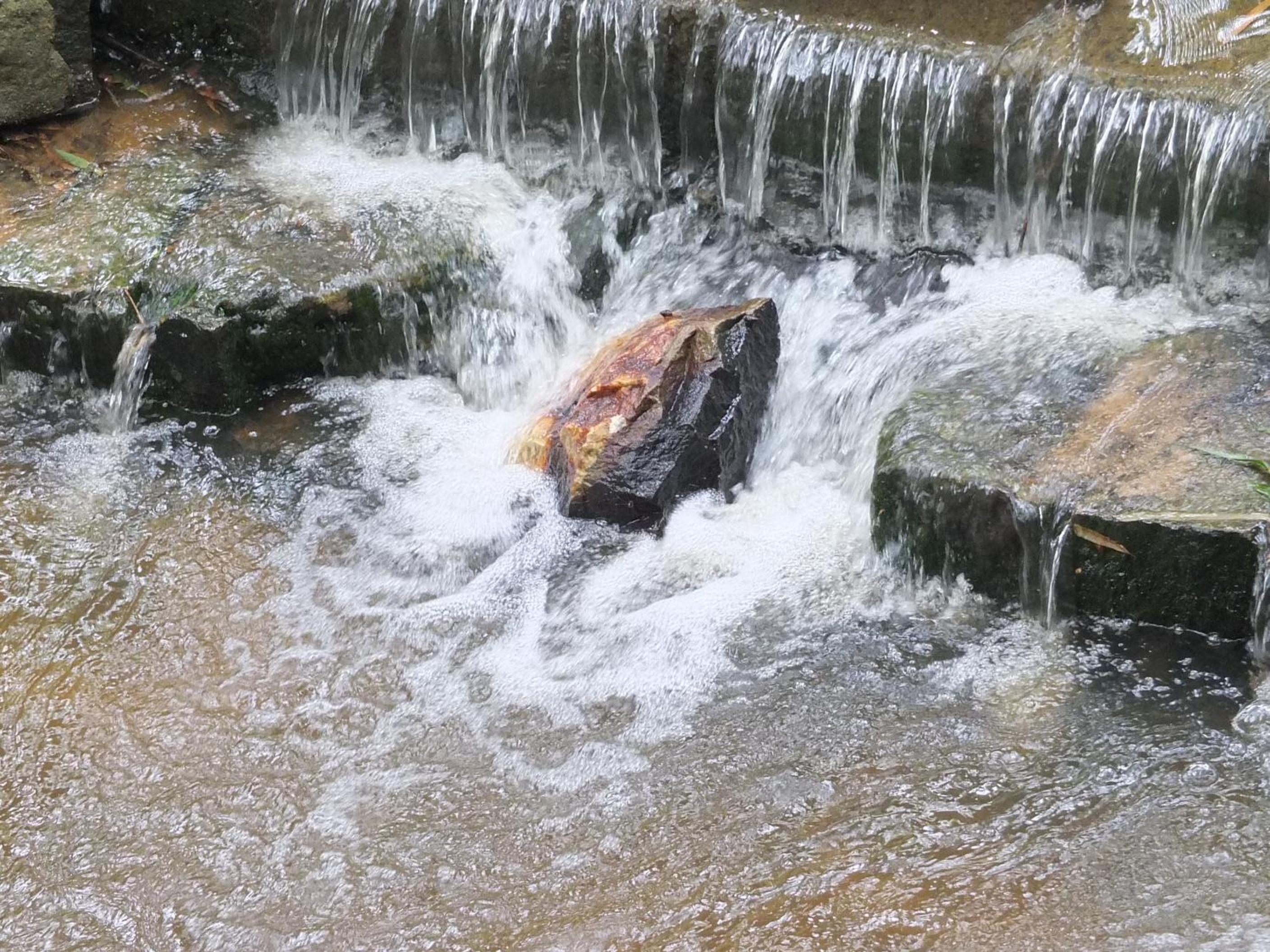 Wayanad Royal Stream view 3