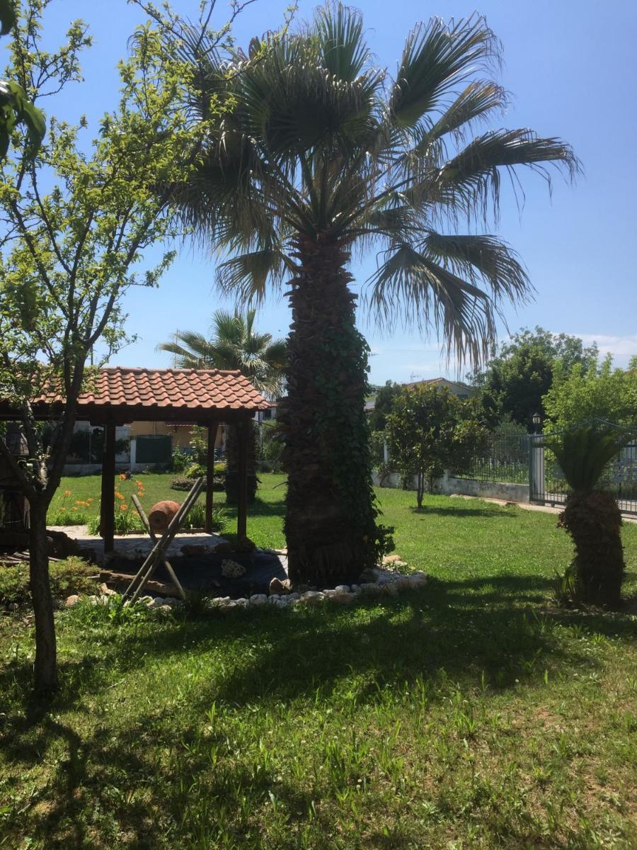 Photo 25
