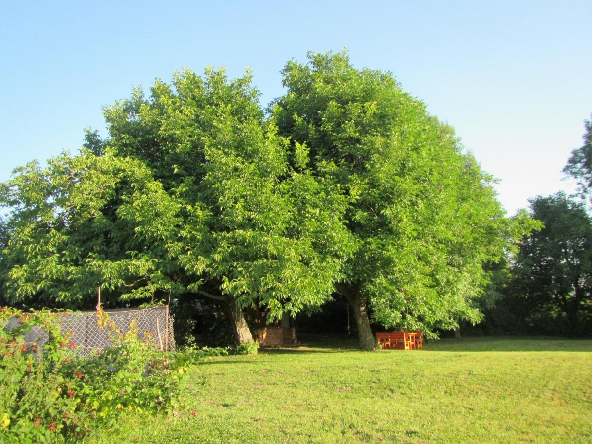 Photo 28
