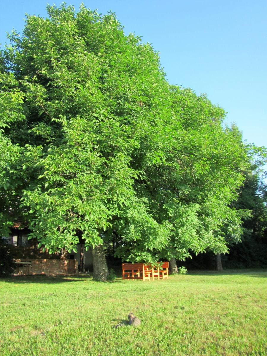 Photo 33