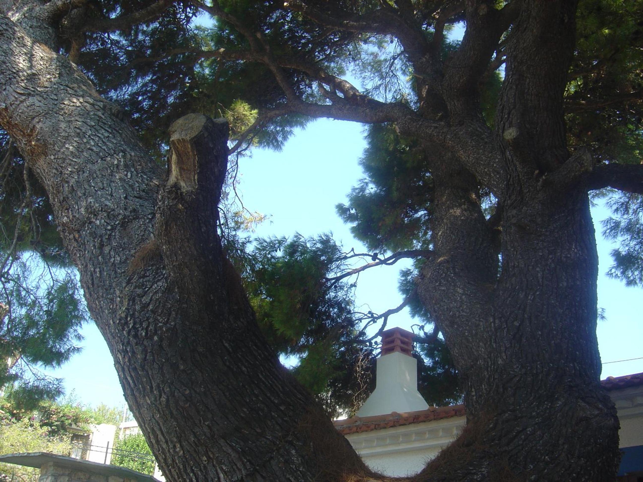 Photo 27