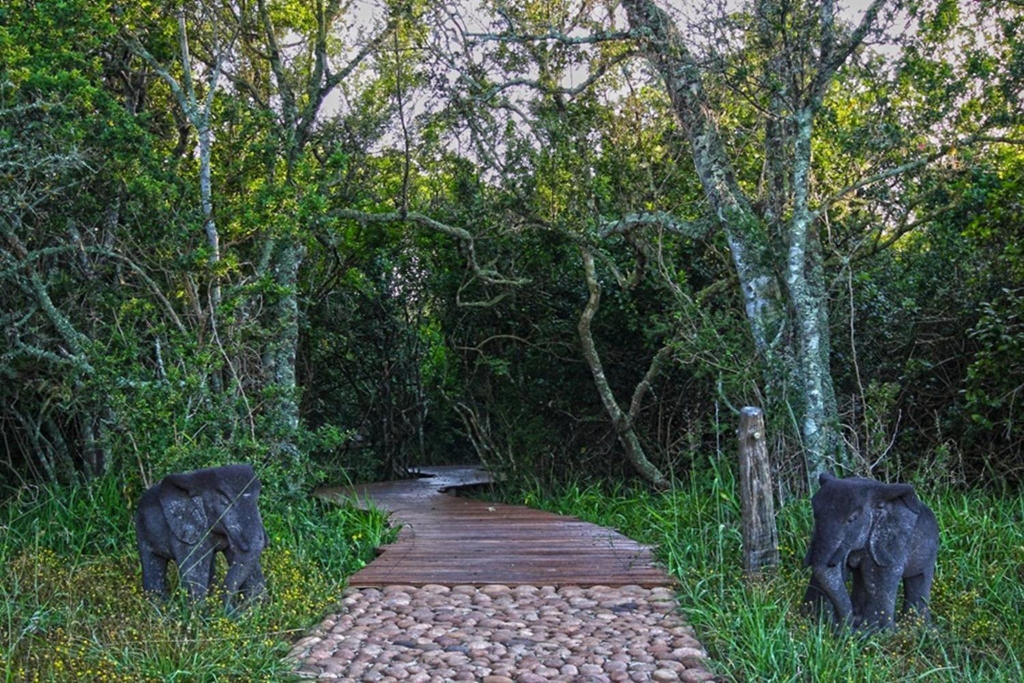 Sibuya Game Reserve and Lodge