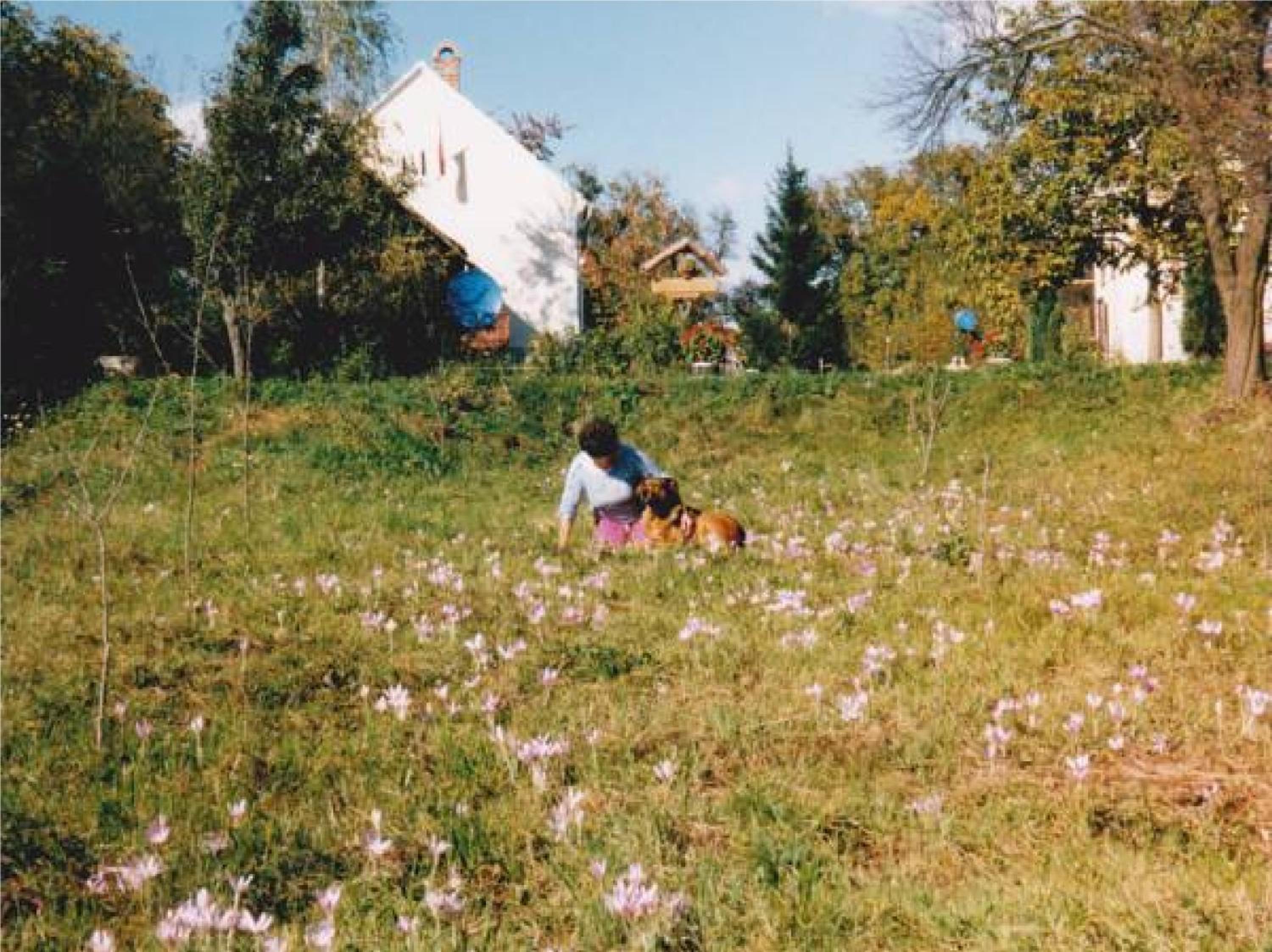 Photo 58