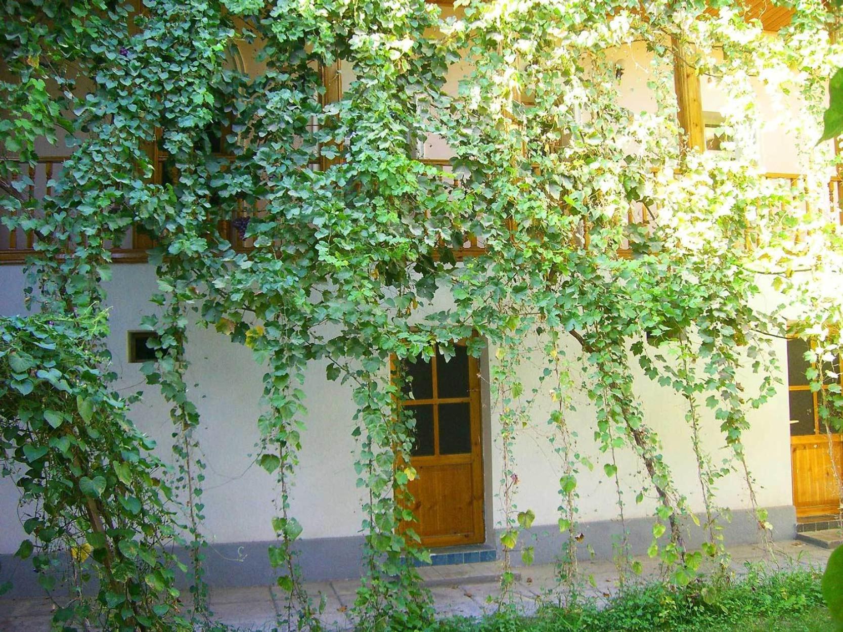 Photo 102