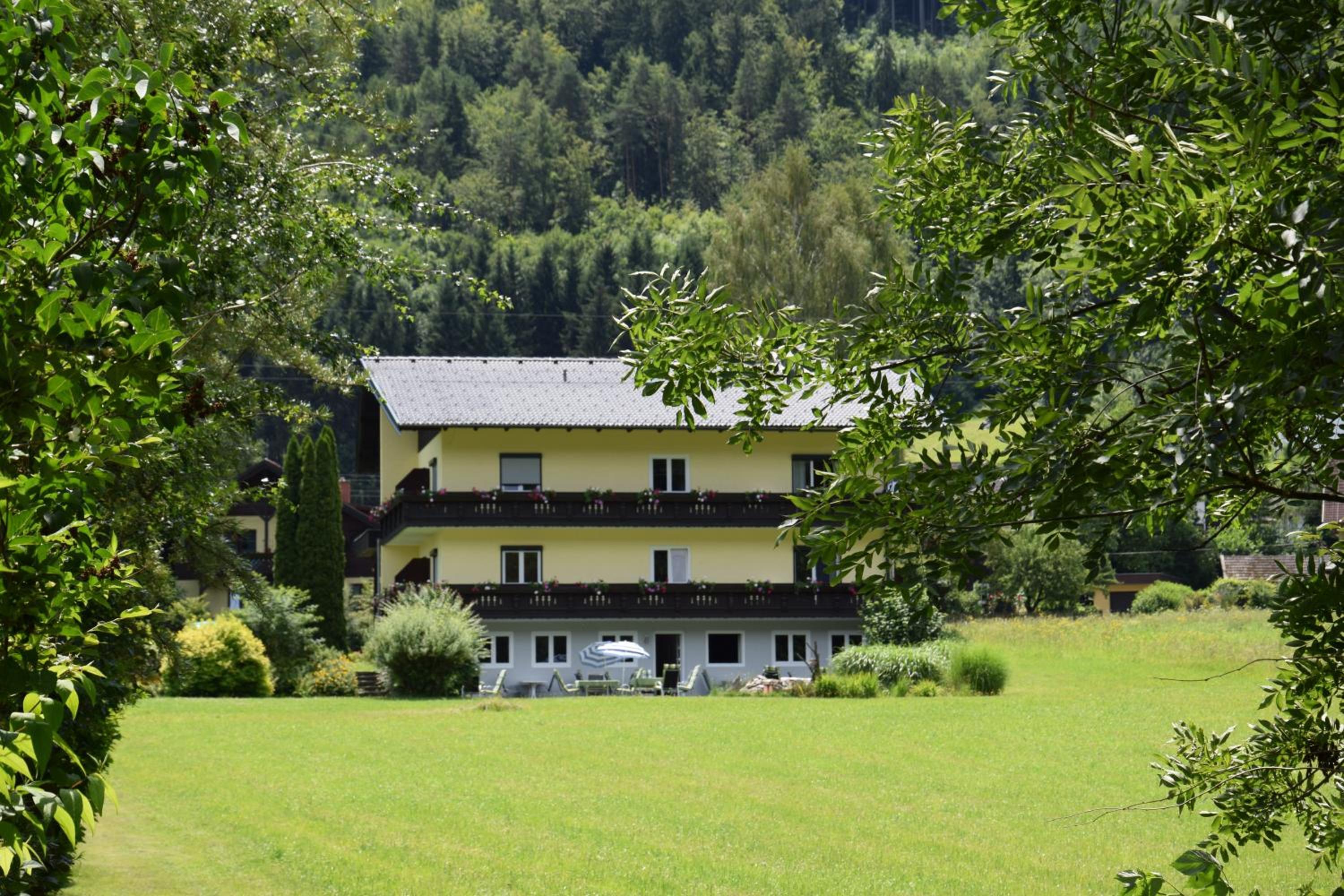Photo 48