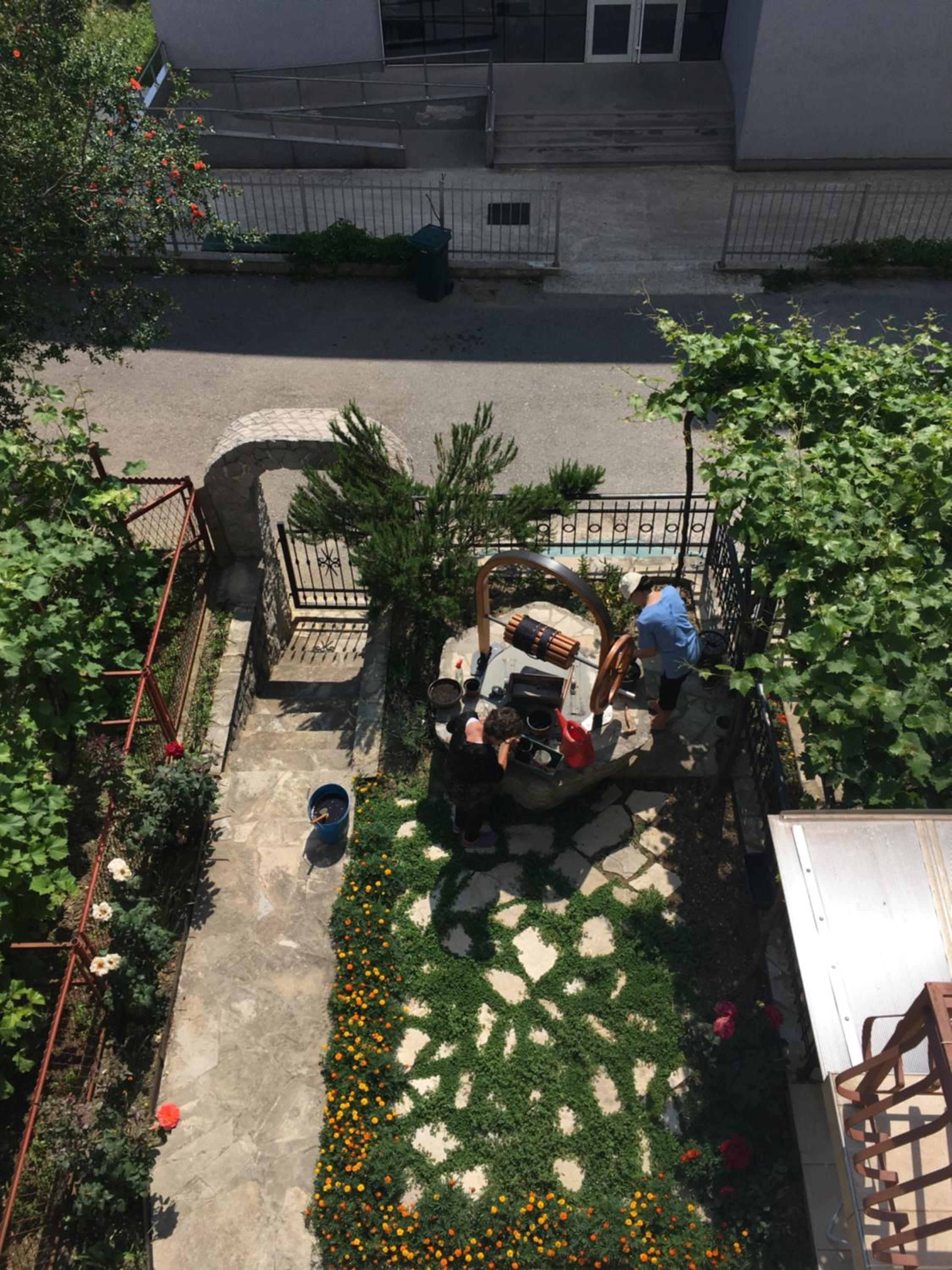 Photo 19