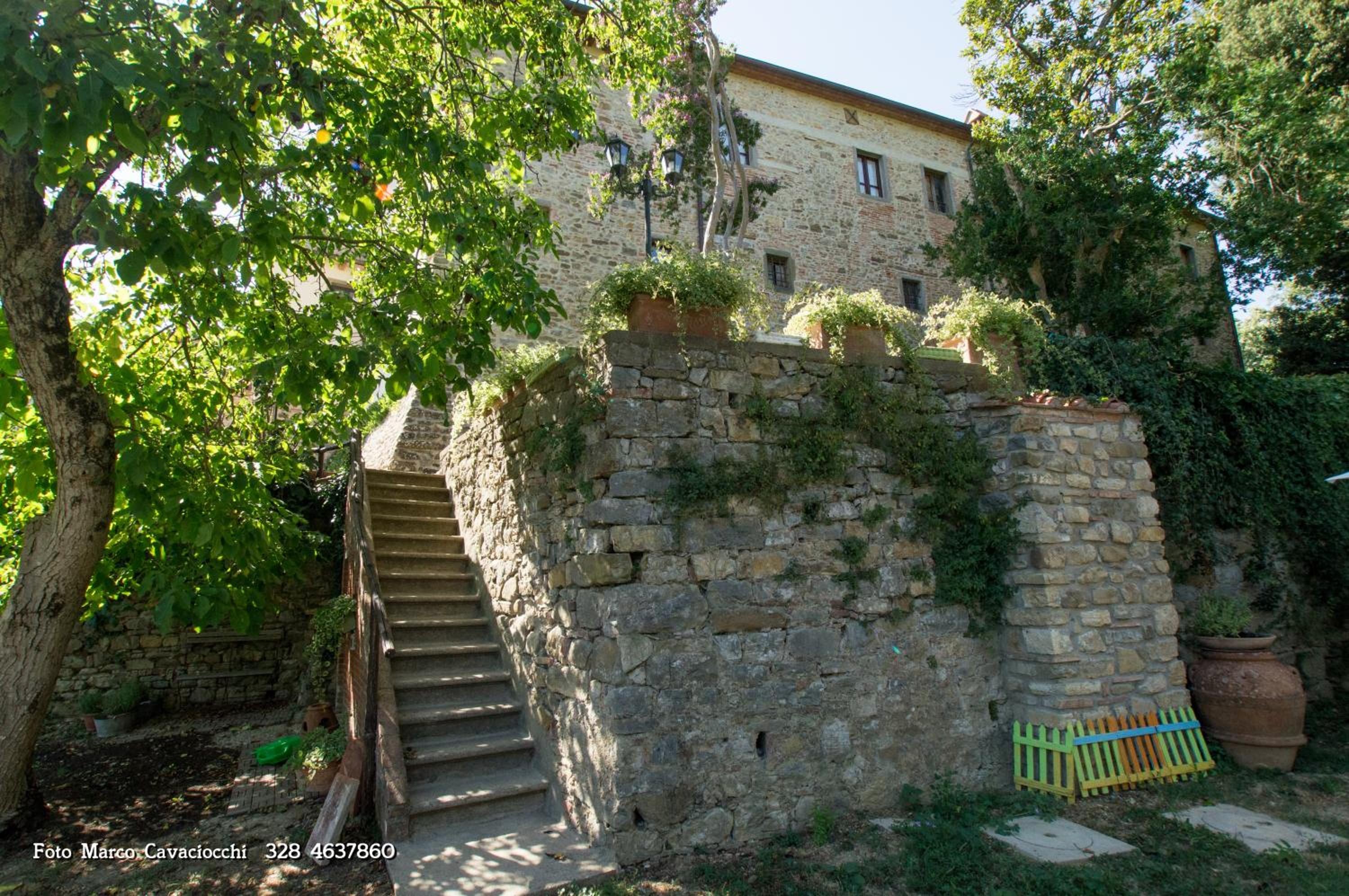 Photo 44