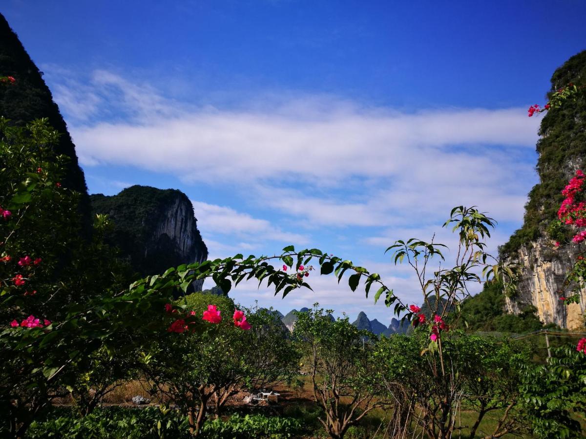 Pure Joy Resort
