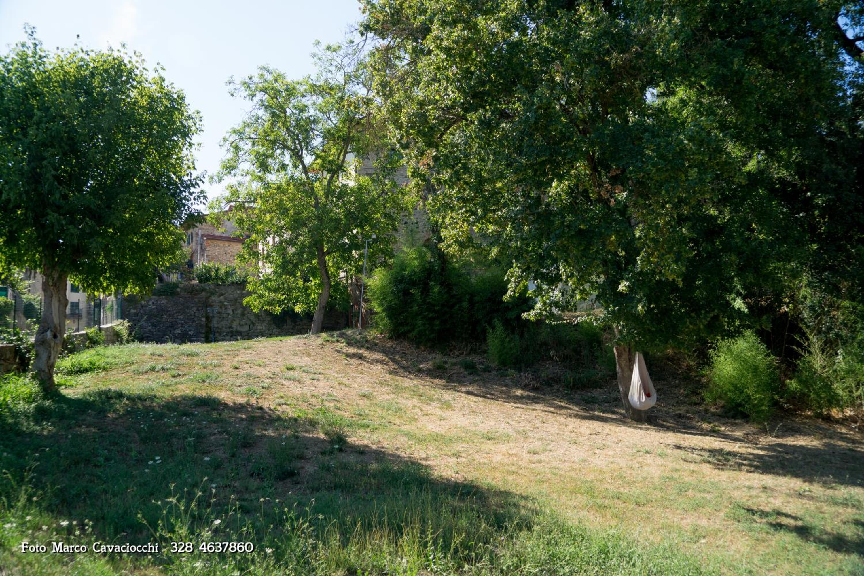 Photo 70