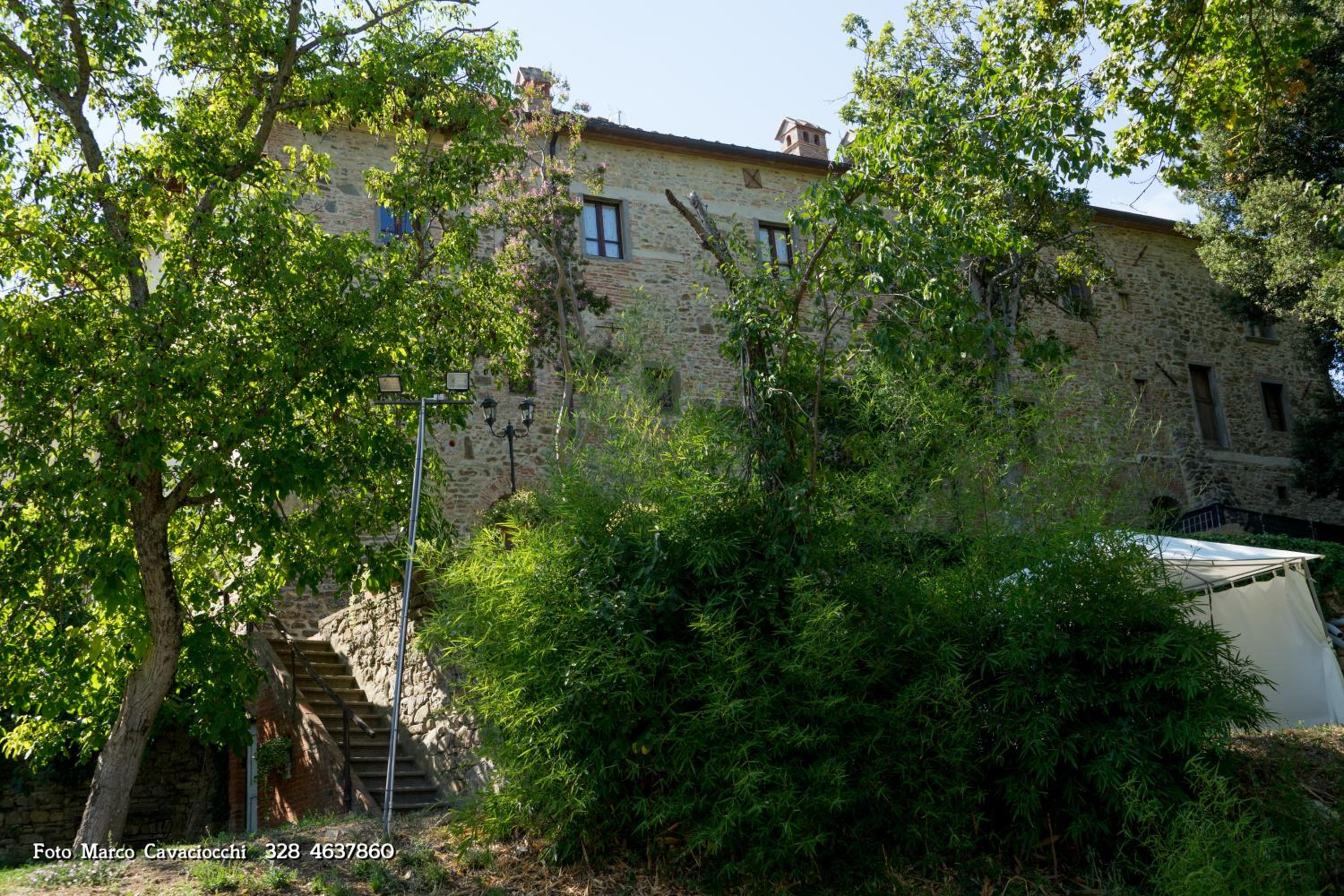 Photo 40