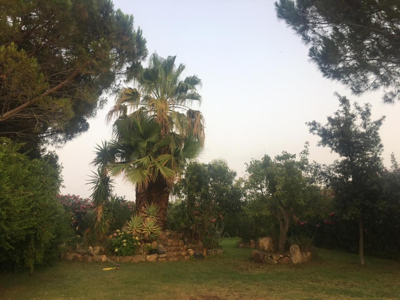 Photo 25