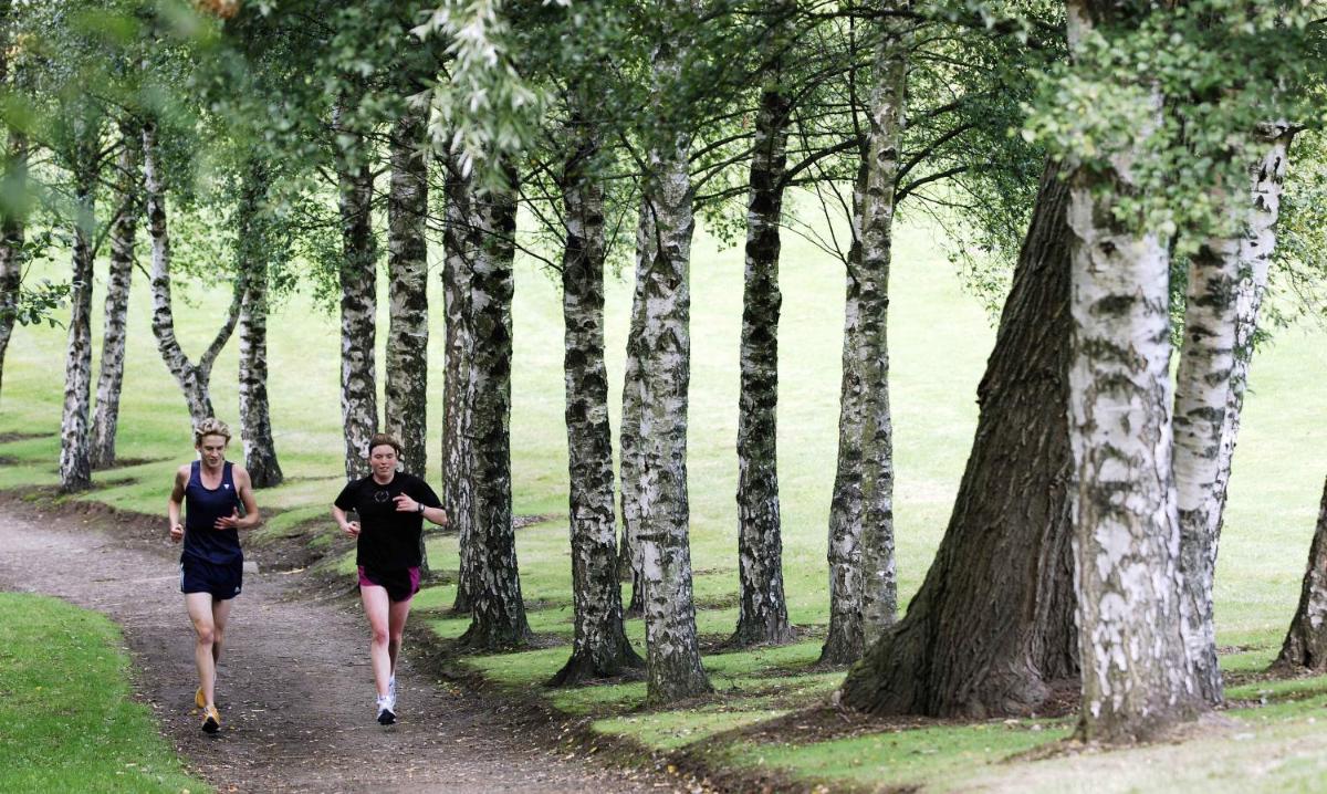 Hotel Juniper Court - Image 1