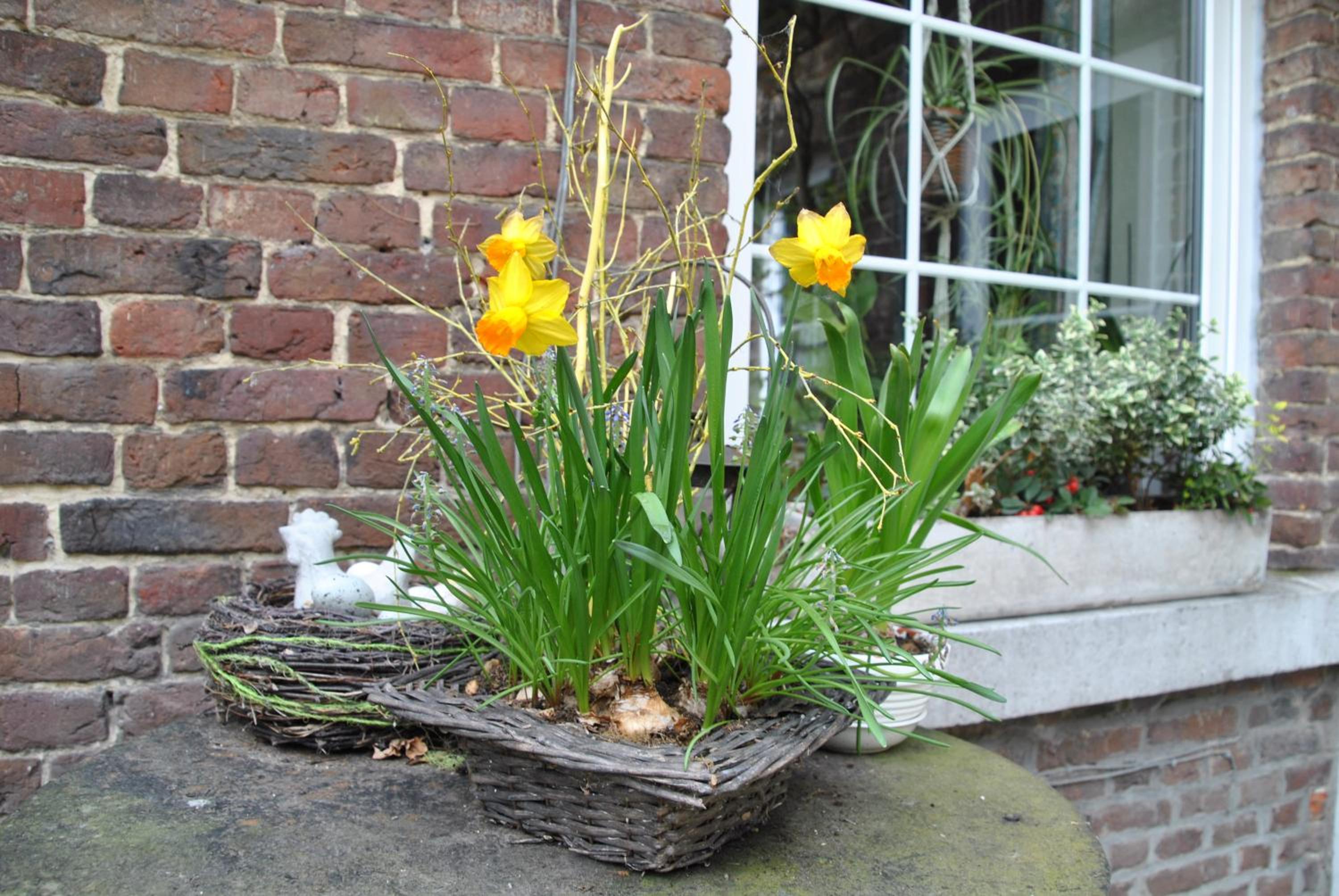 B&B Het Loonderhof