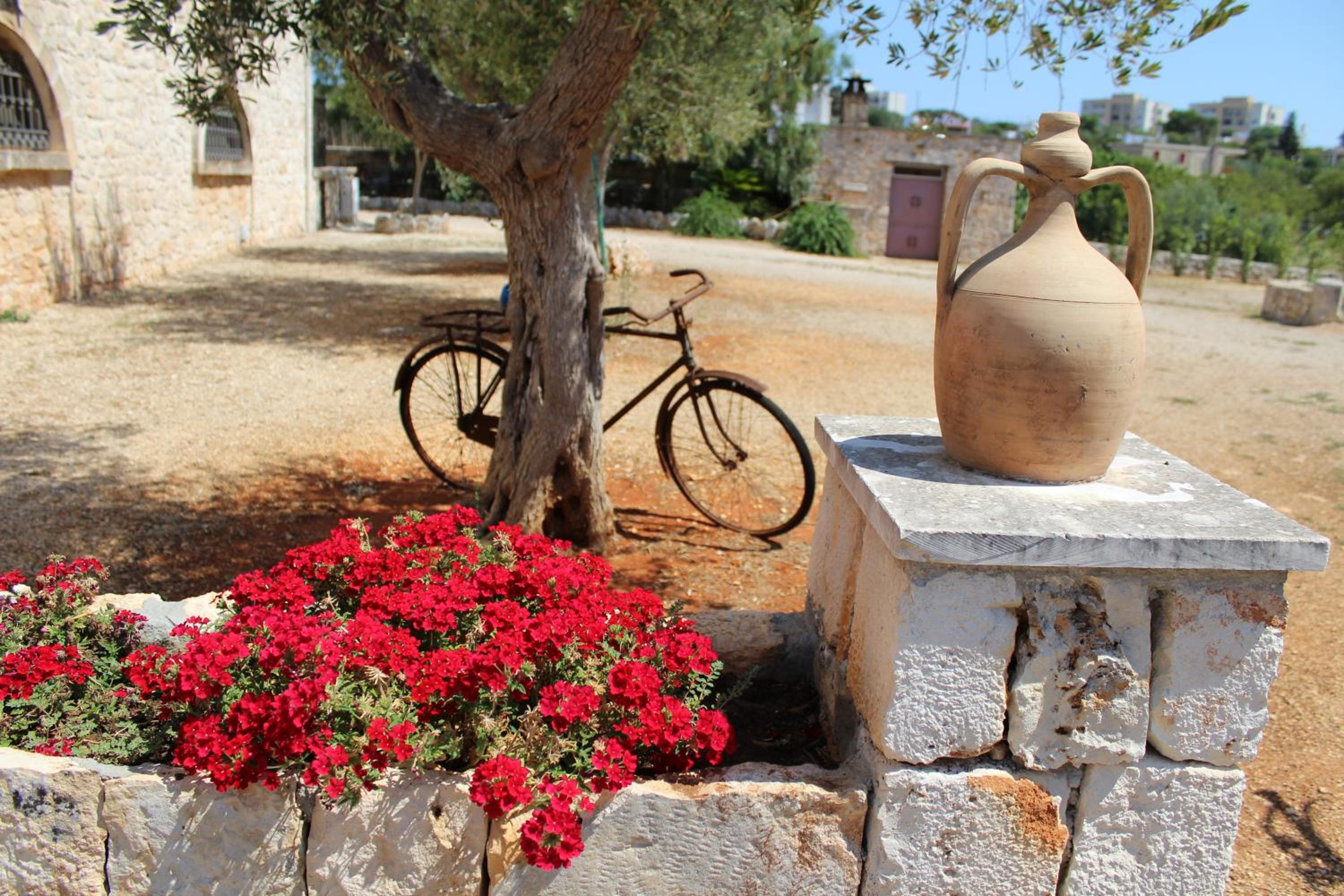 Masseria Tolla