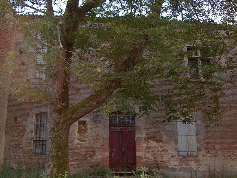 Photo 31