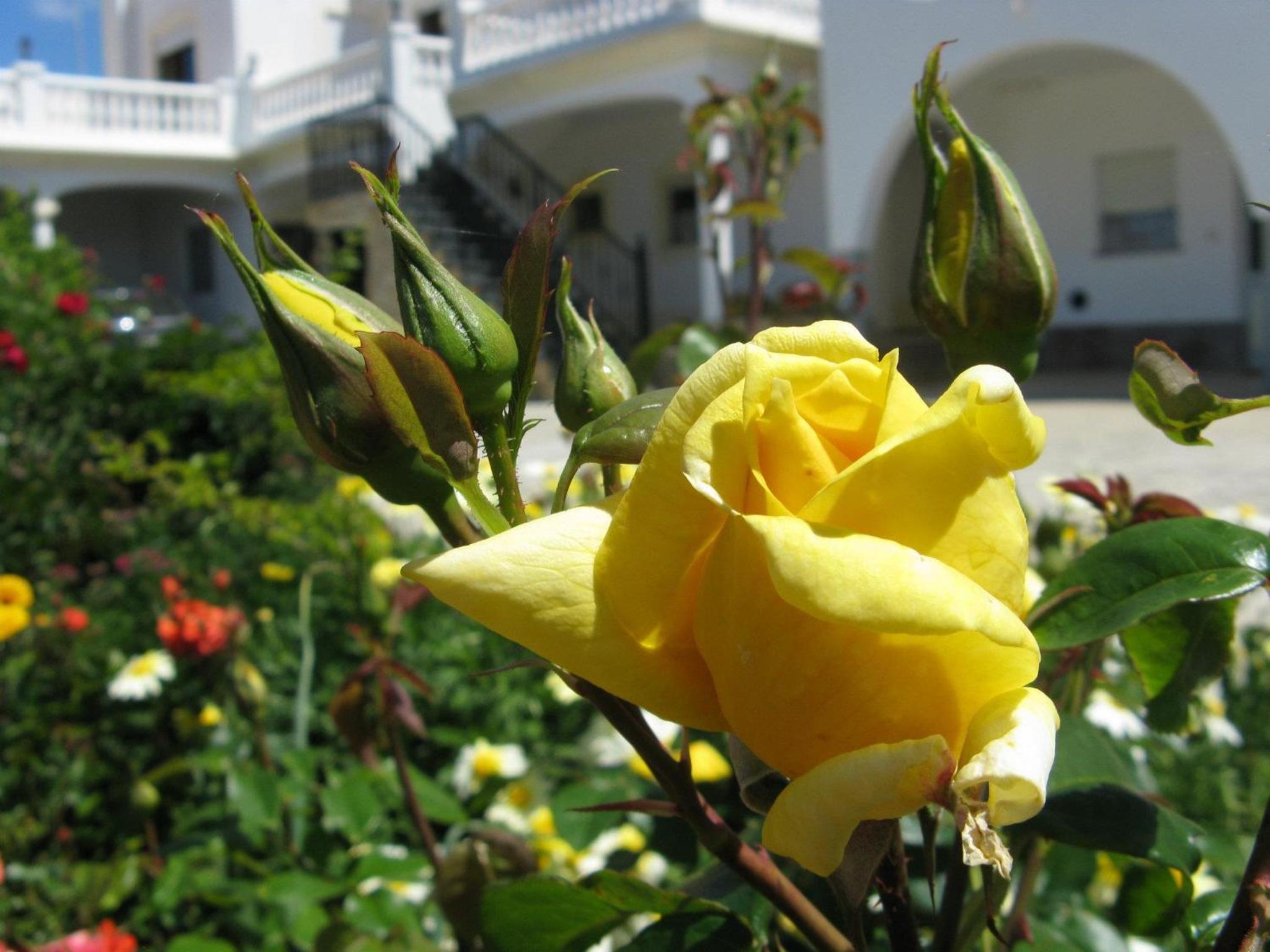 Photo 46