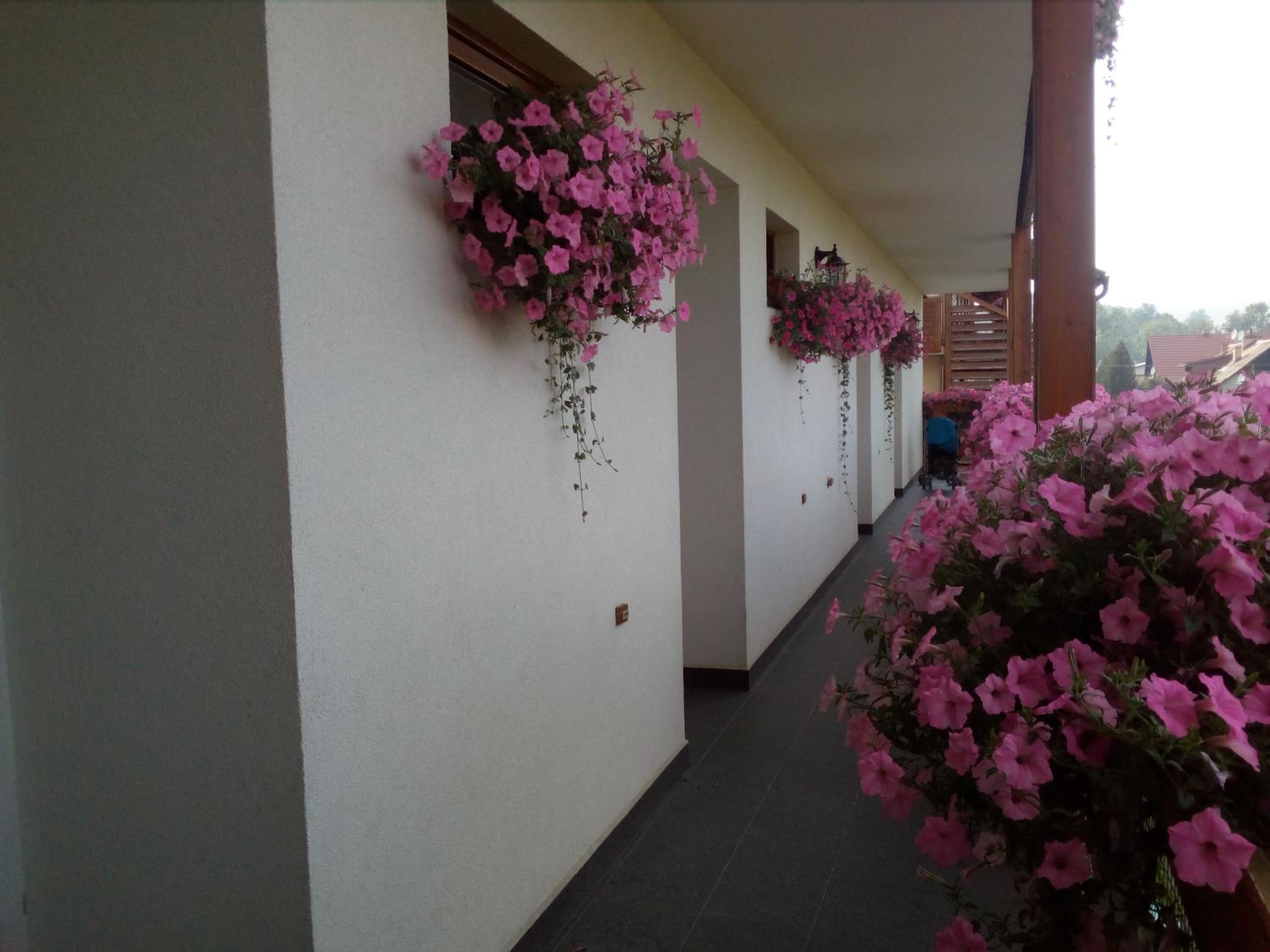 Ski & Sun Wellness Apartments