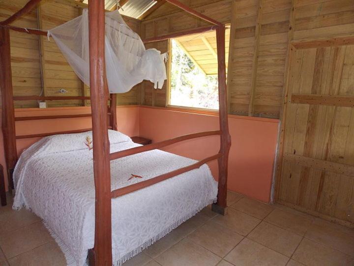 Roots Jungle Retreat