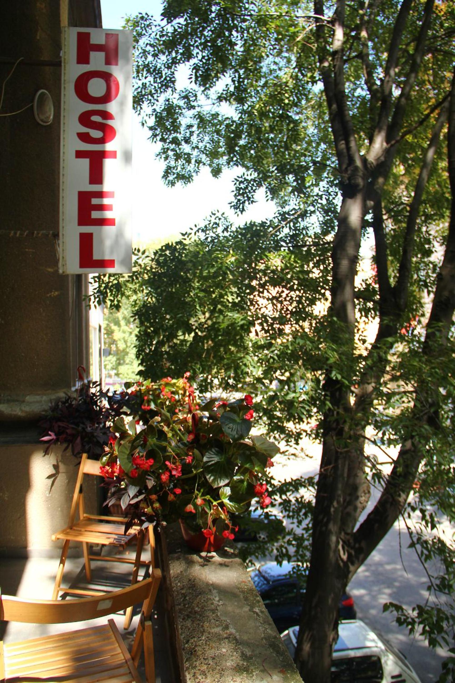 Photo 41