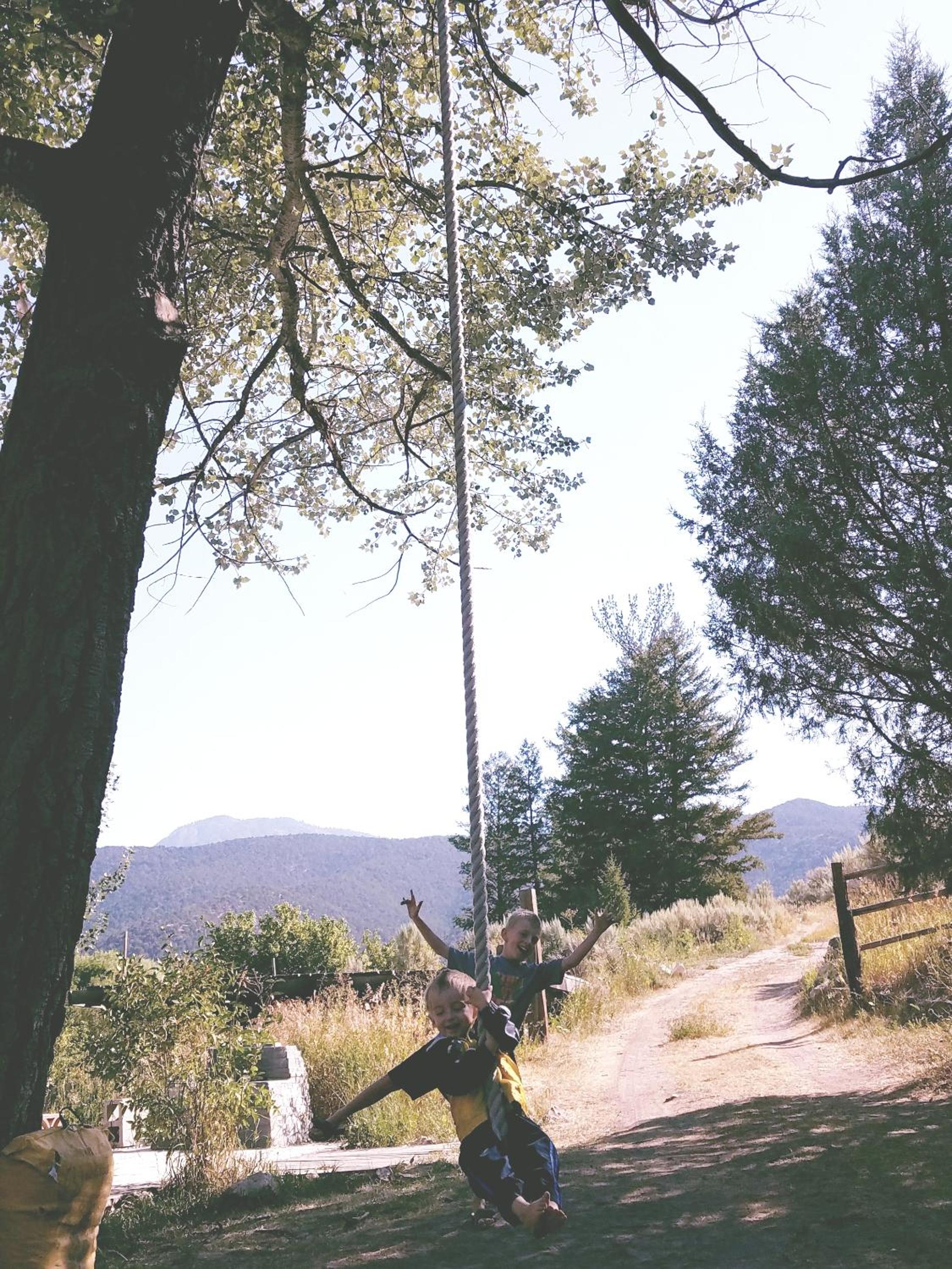 Photo 46