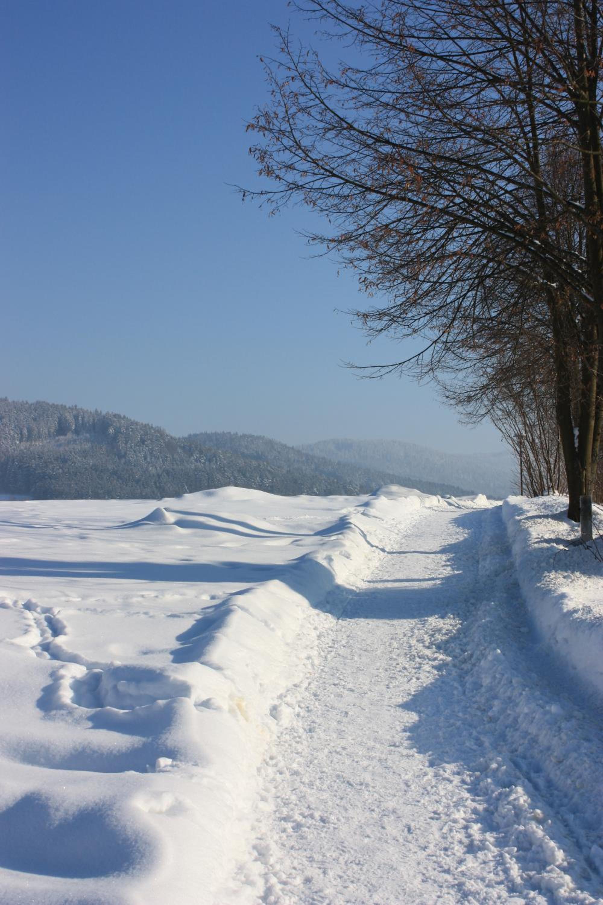 Posthotel Rattenberg - Property Image 3