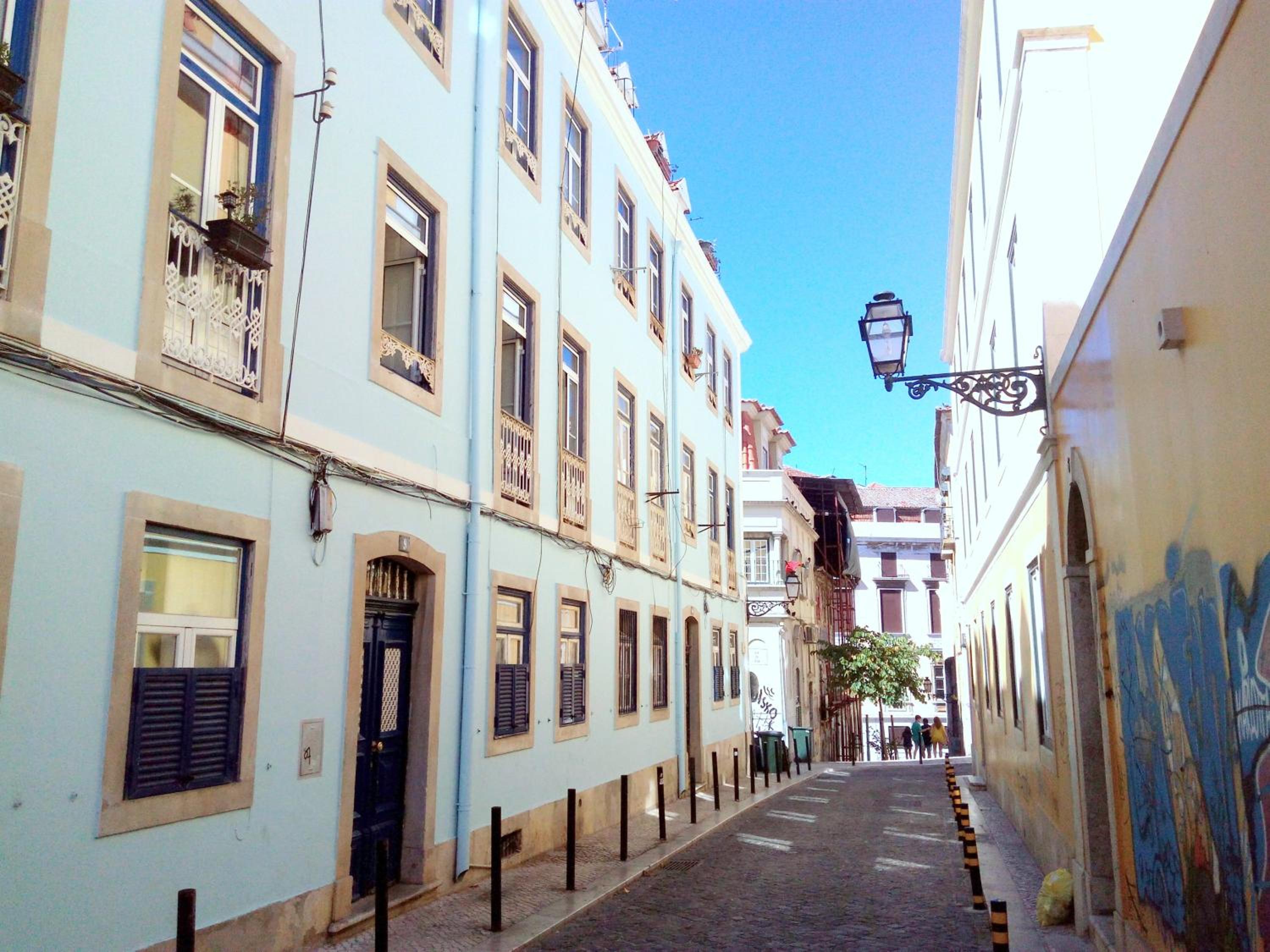 Comfy @ Chiado photo 5