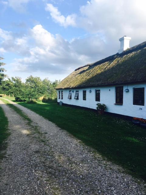 Øster Mogensbæk #4 view 2