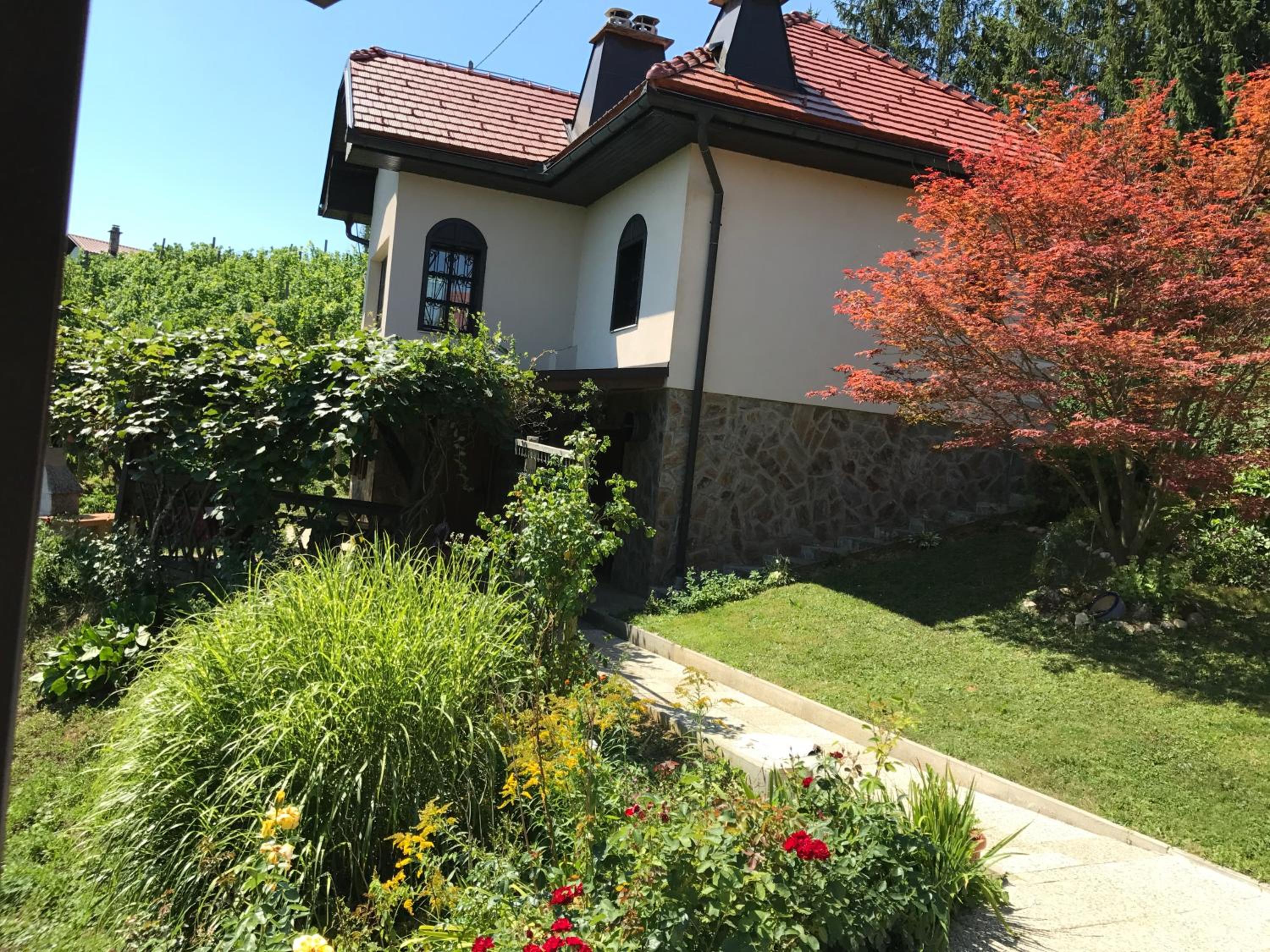 Wine & Nature & Tour