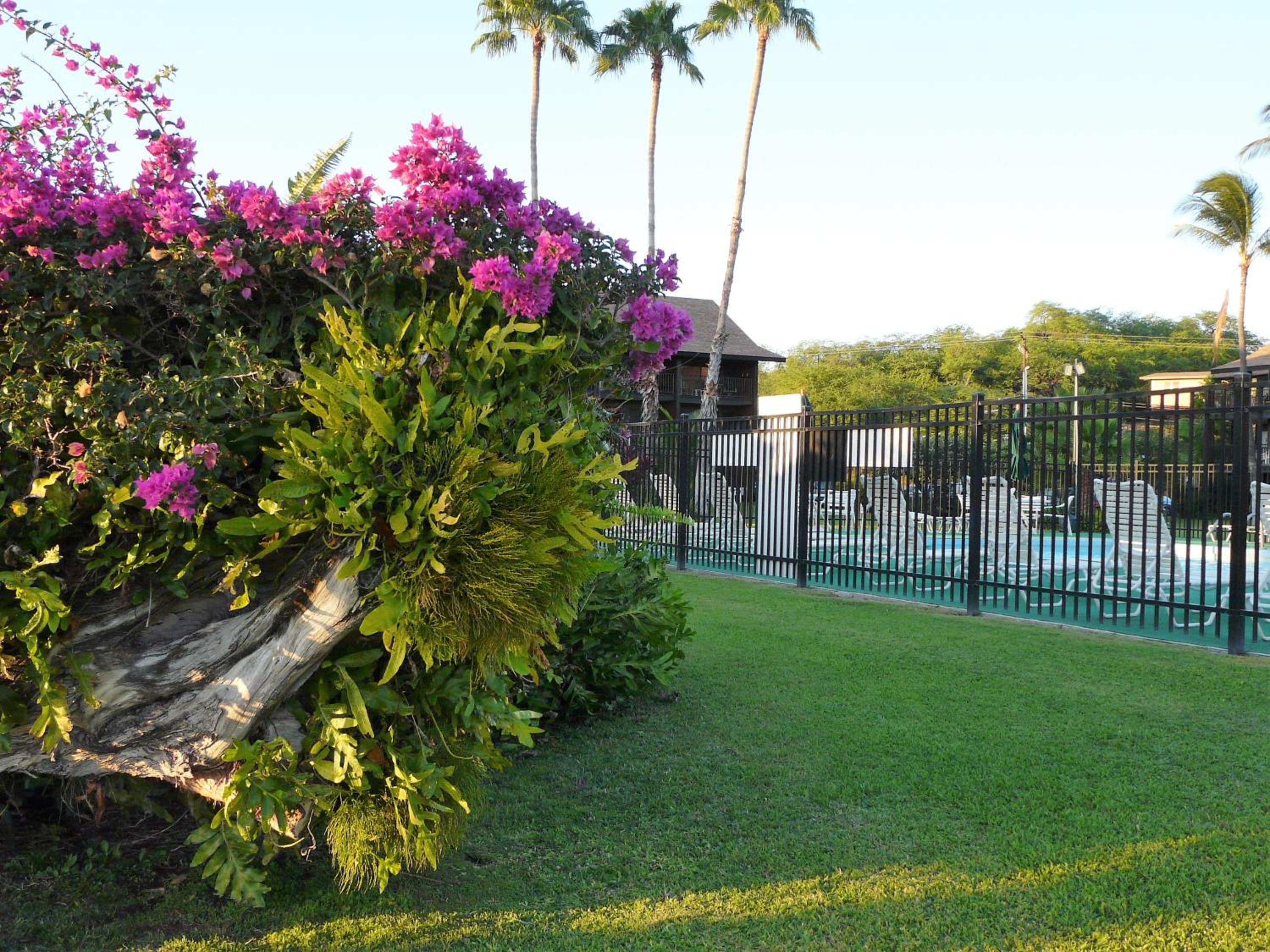 Molokai Vacations - Ka Hale Kealoha - Property Image 1