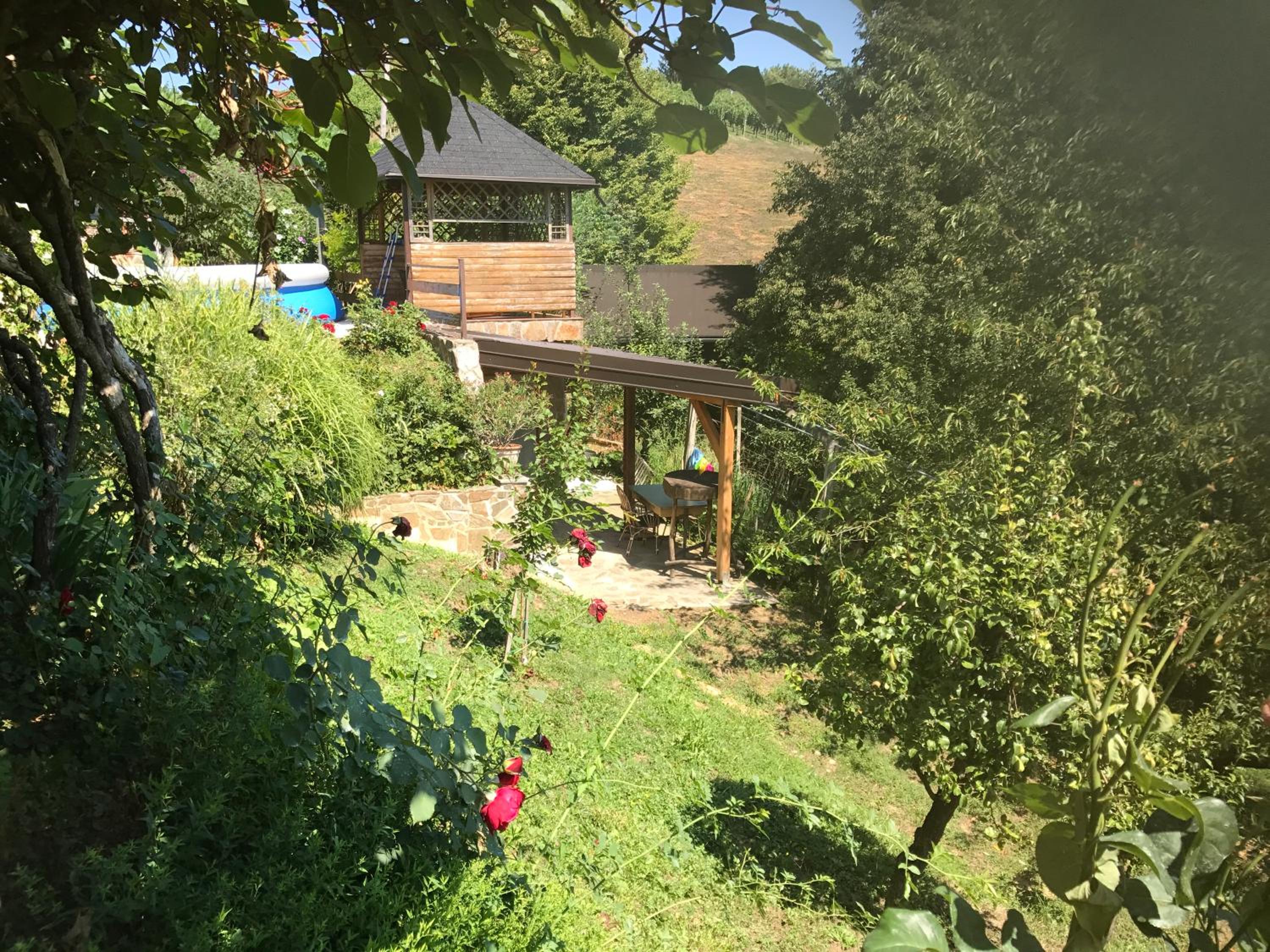 Photo 17