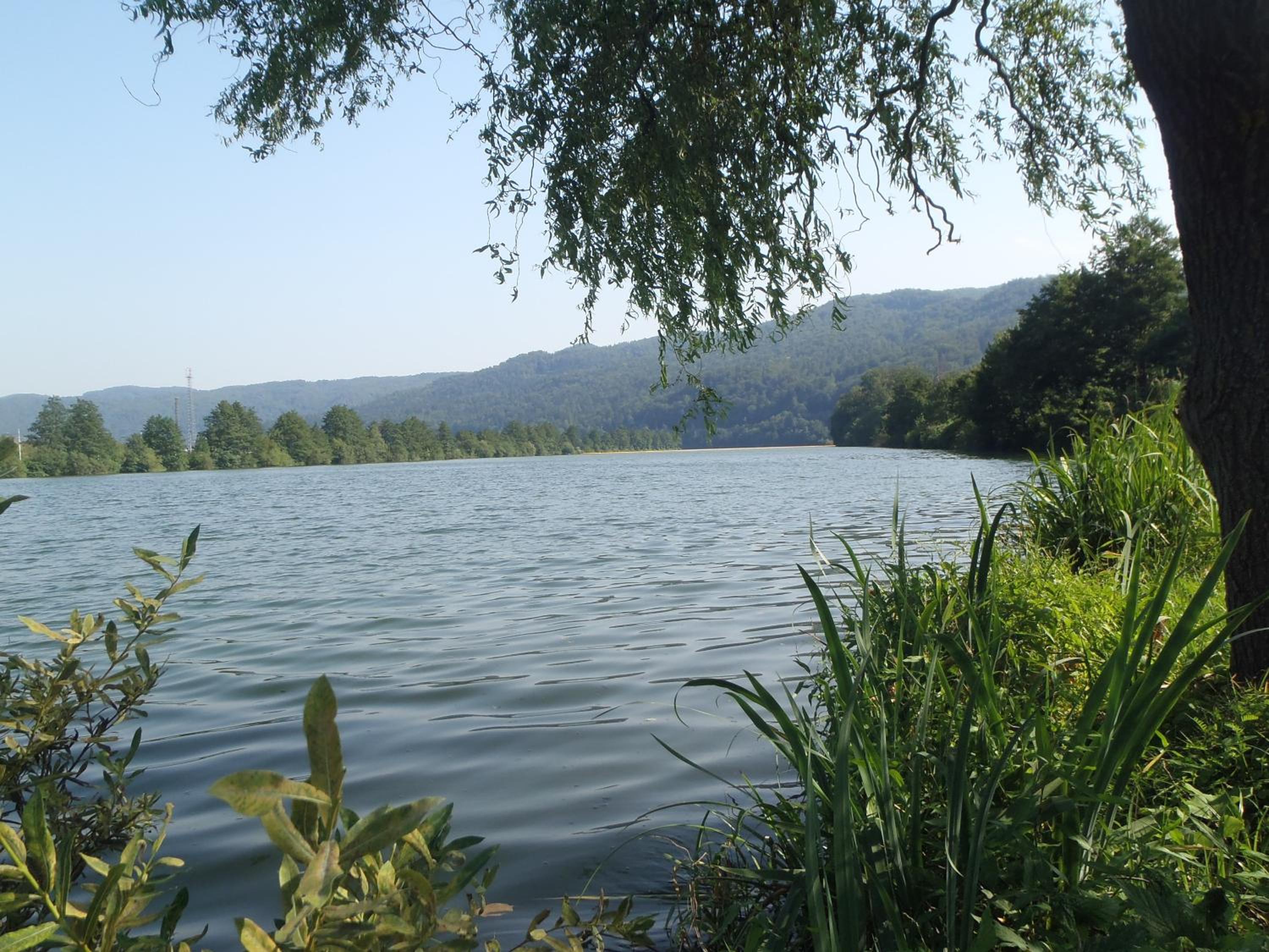 Ribiški dom Radeče view 5