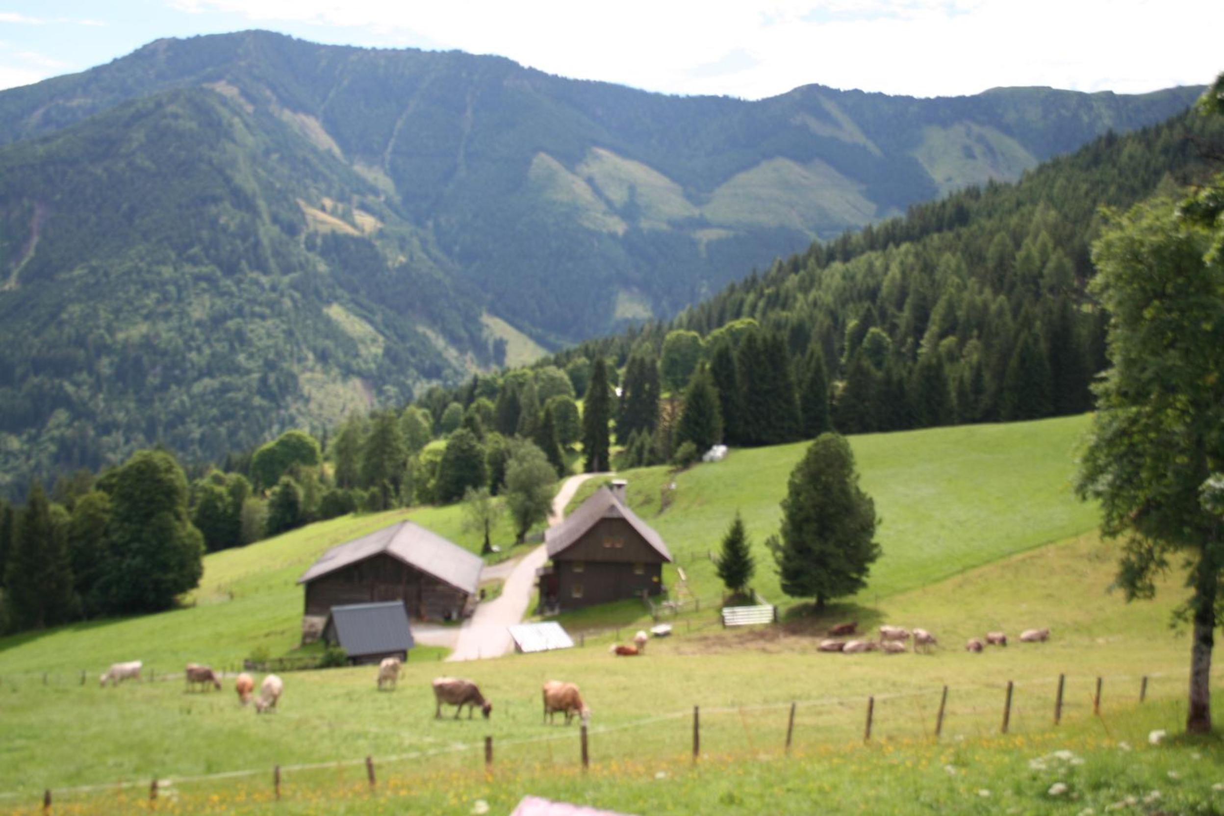 Ferienhaus Stoiser