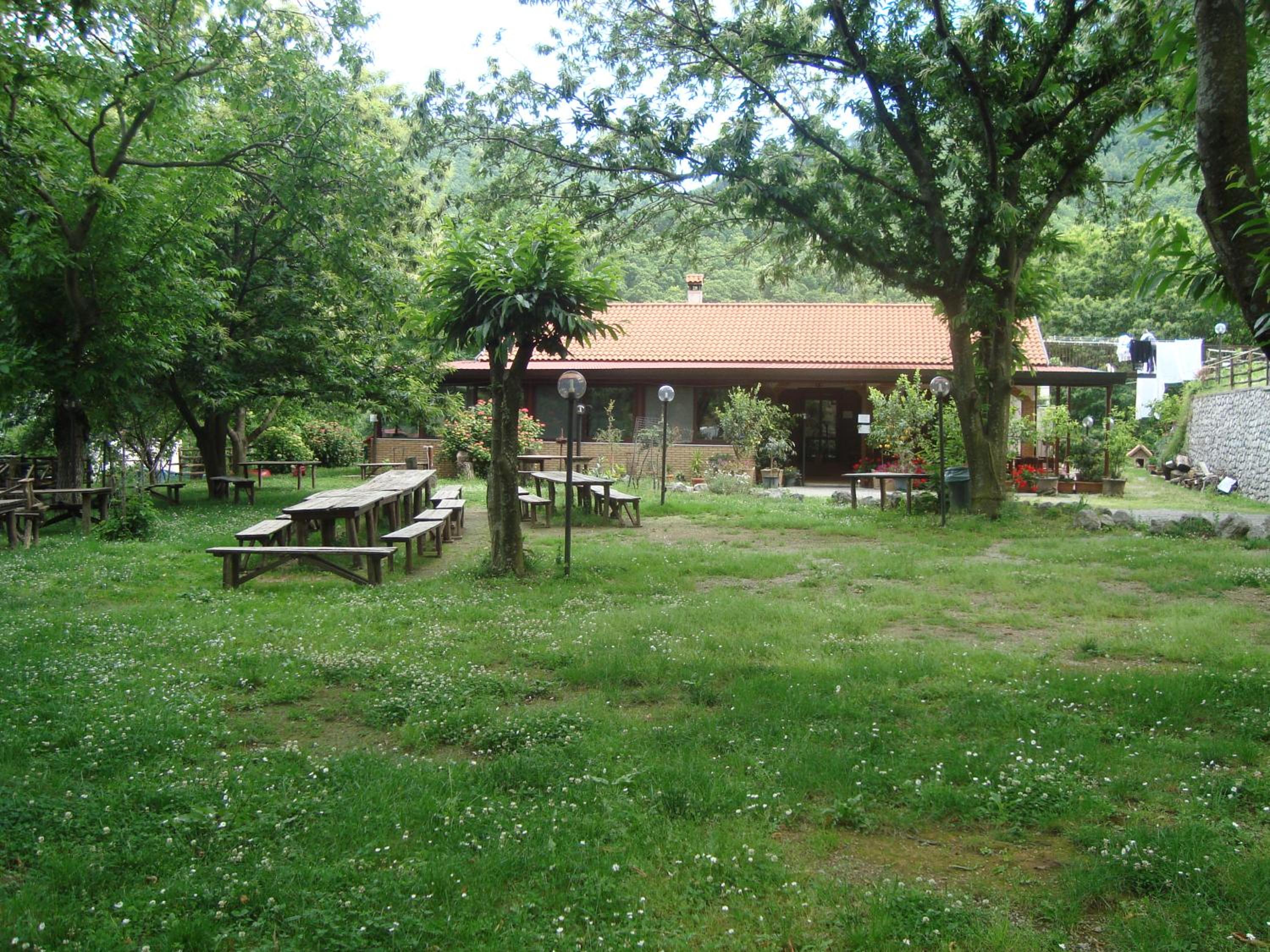 Photo 21